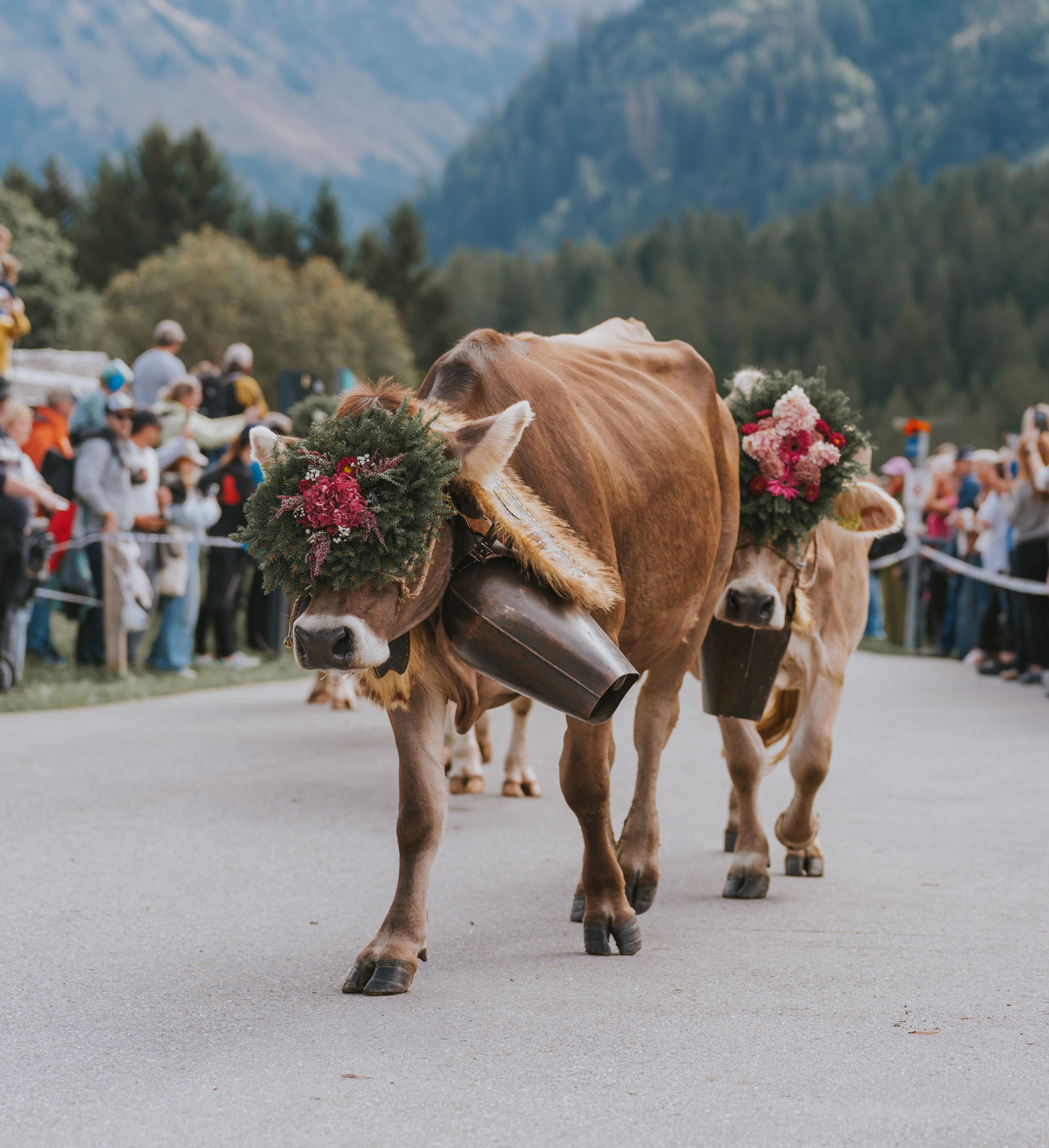 traditional swiss festival