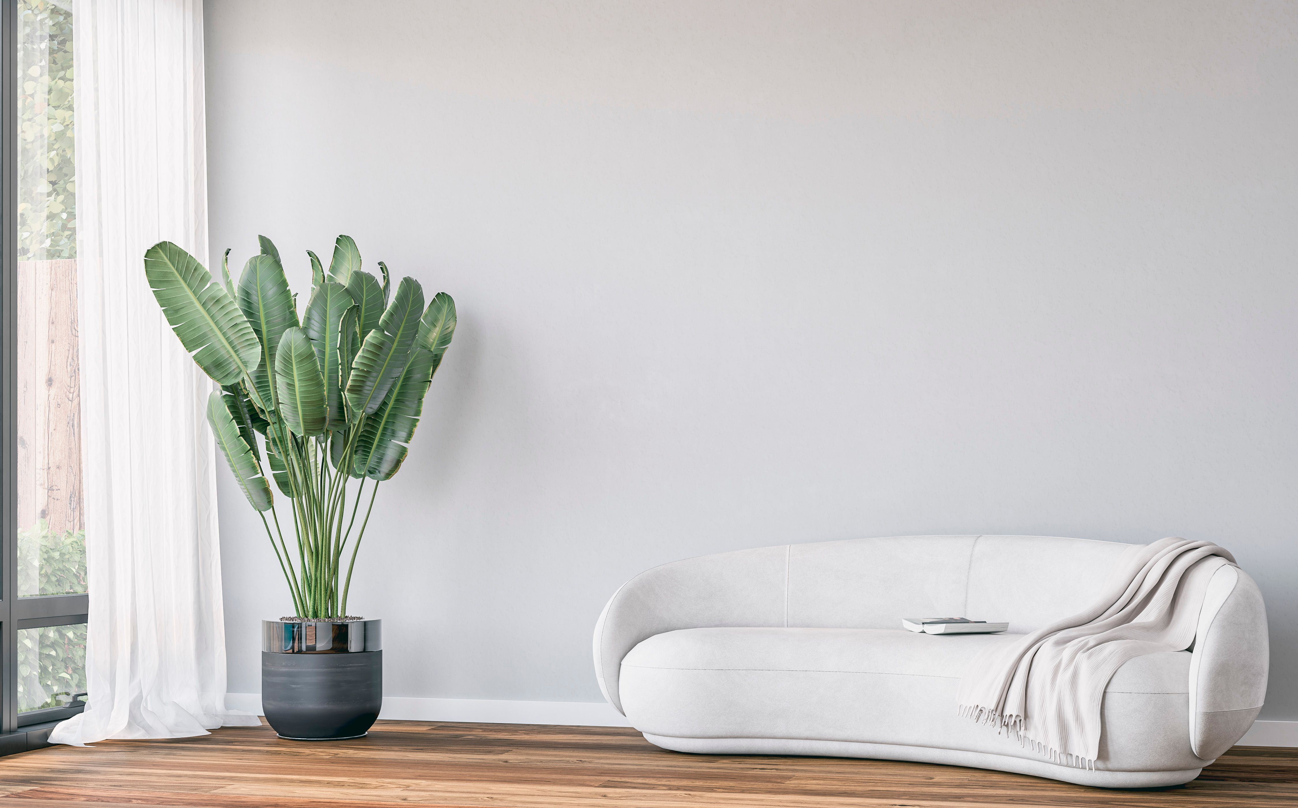 furnished apartment living room