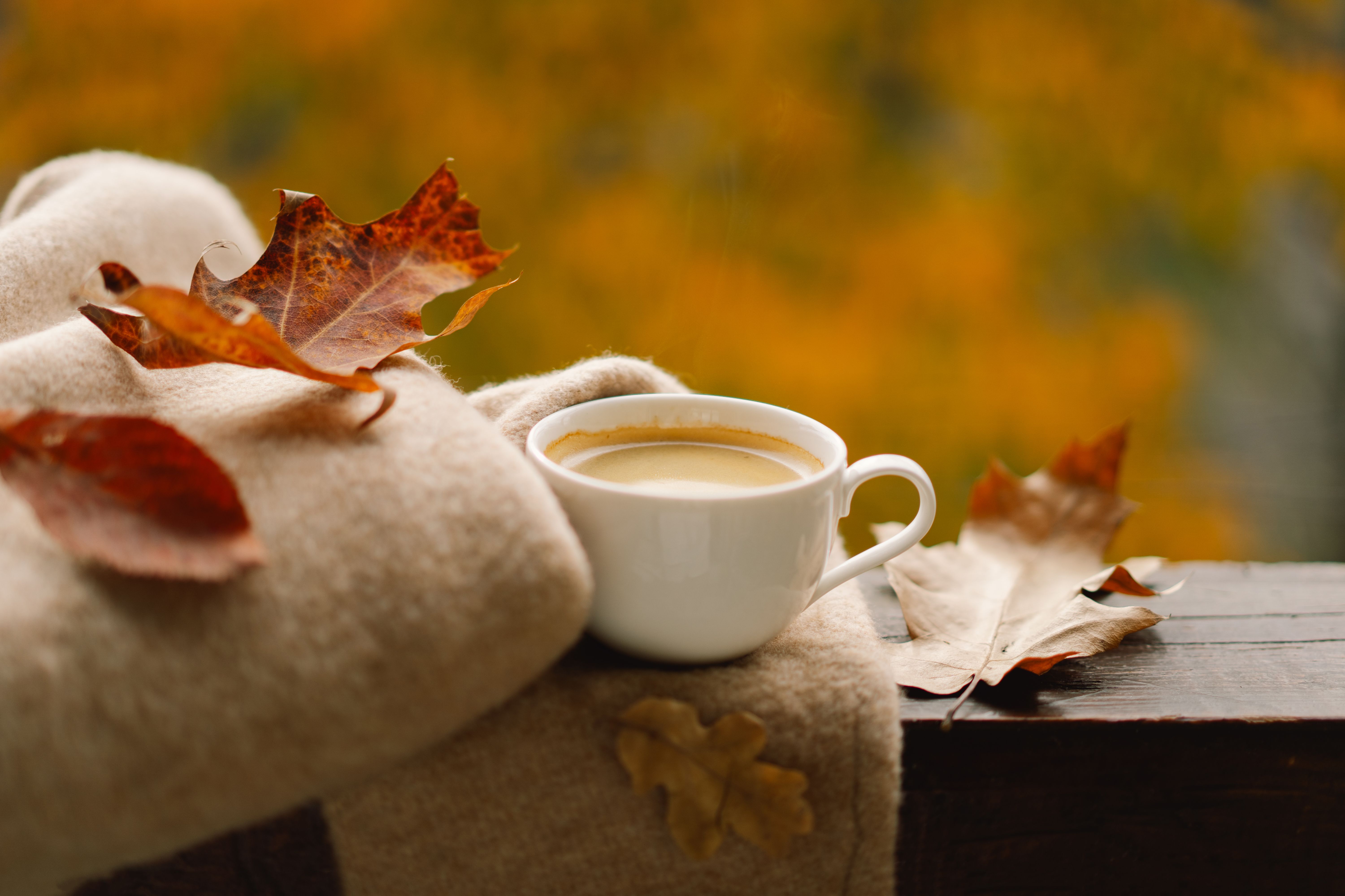 autumn cozy
