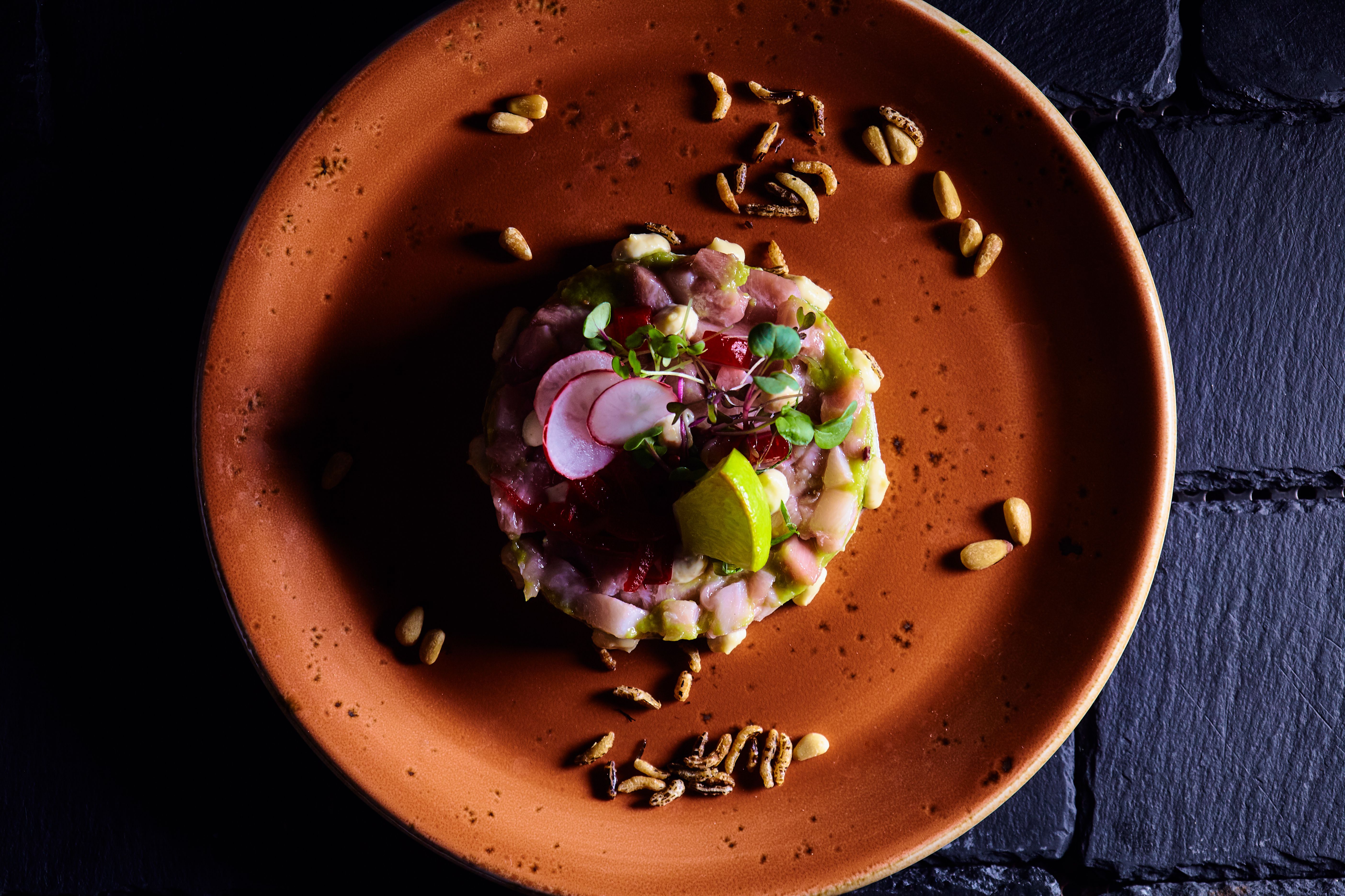 gourmet dish presentation