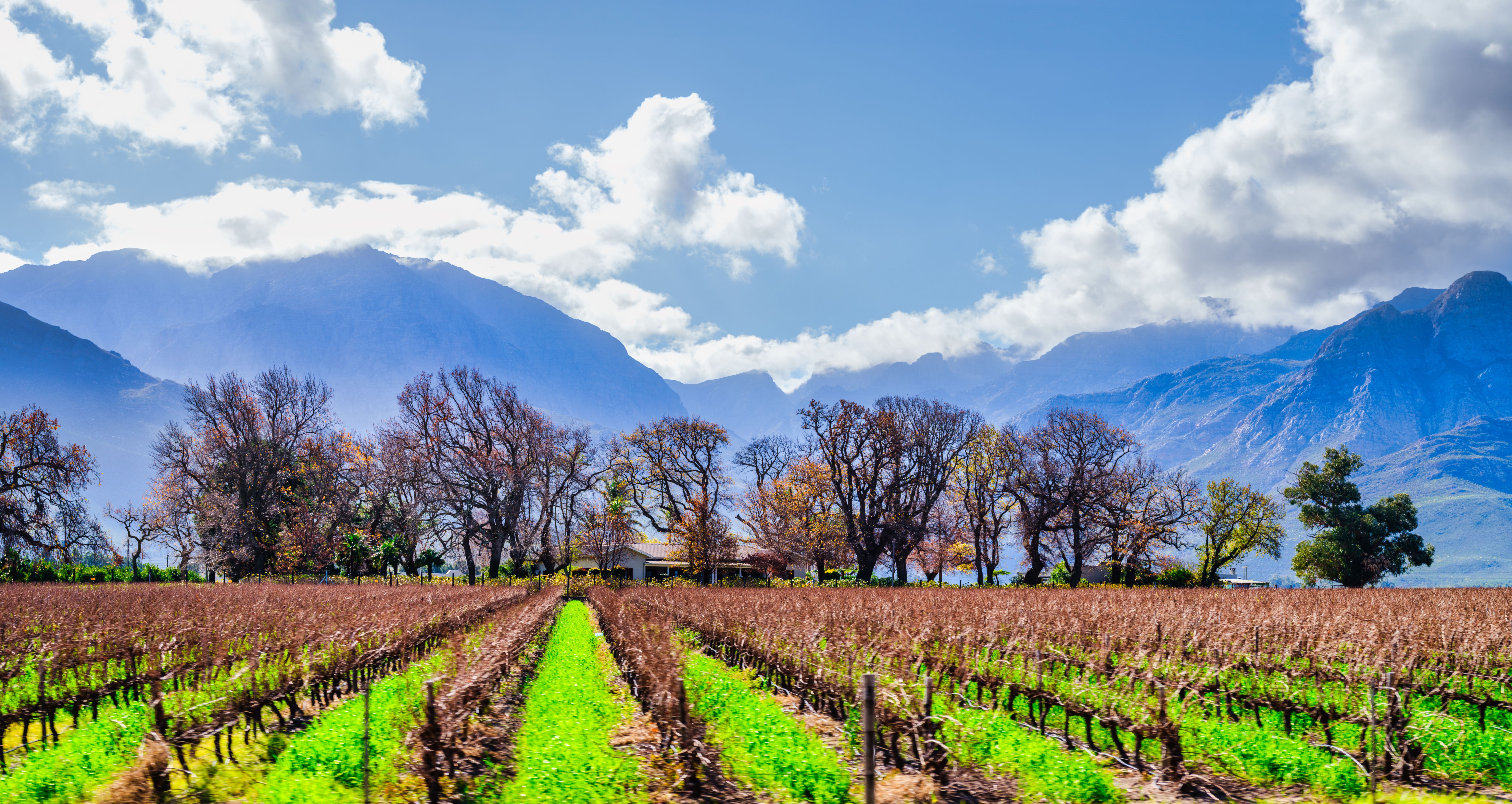 winter landscape South Africa