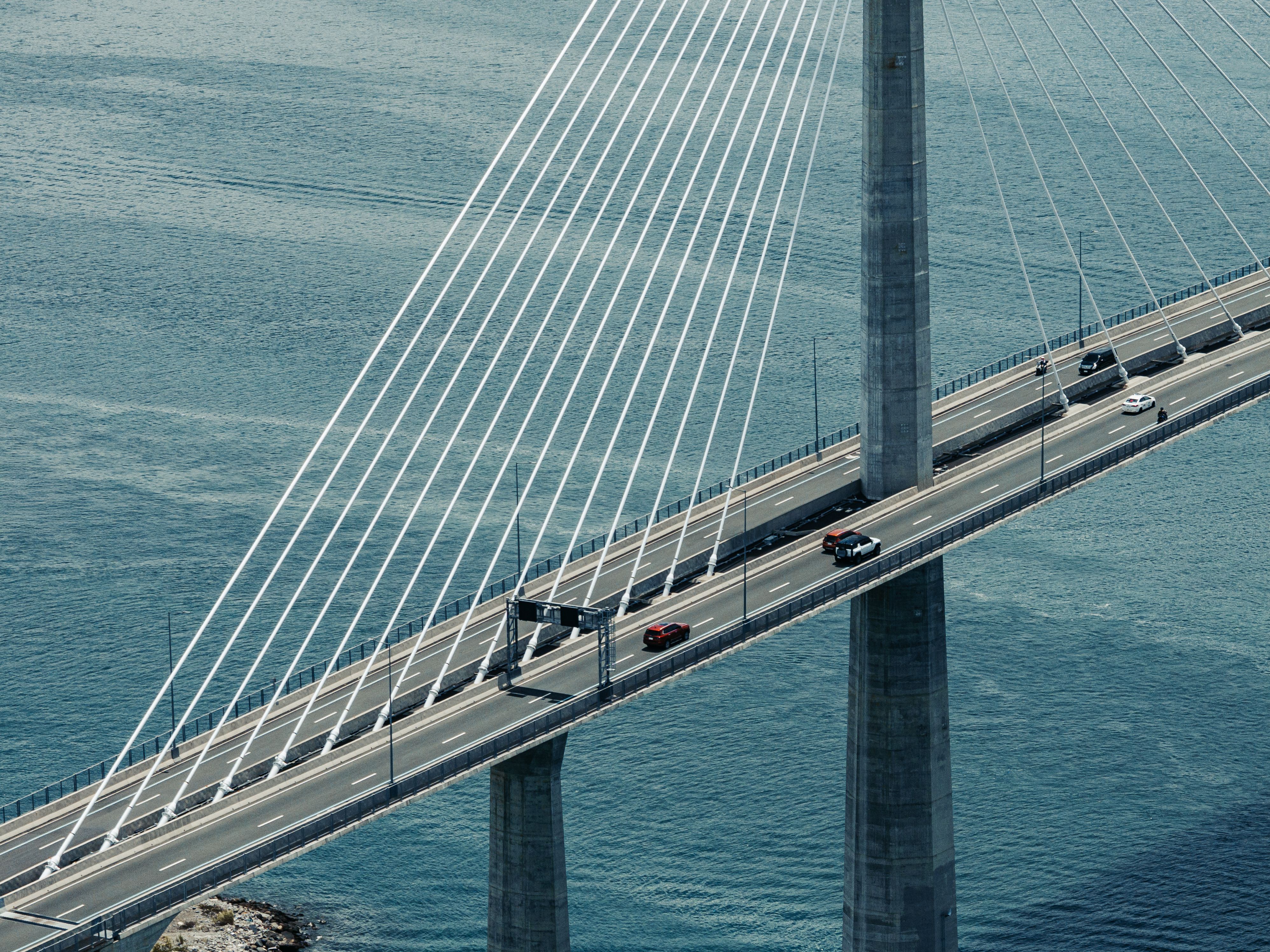 Suspension Bridge Over Calm Blue Waters With Moving Vehicles and Cables