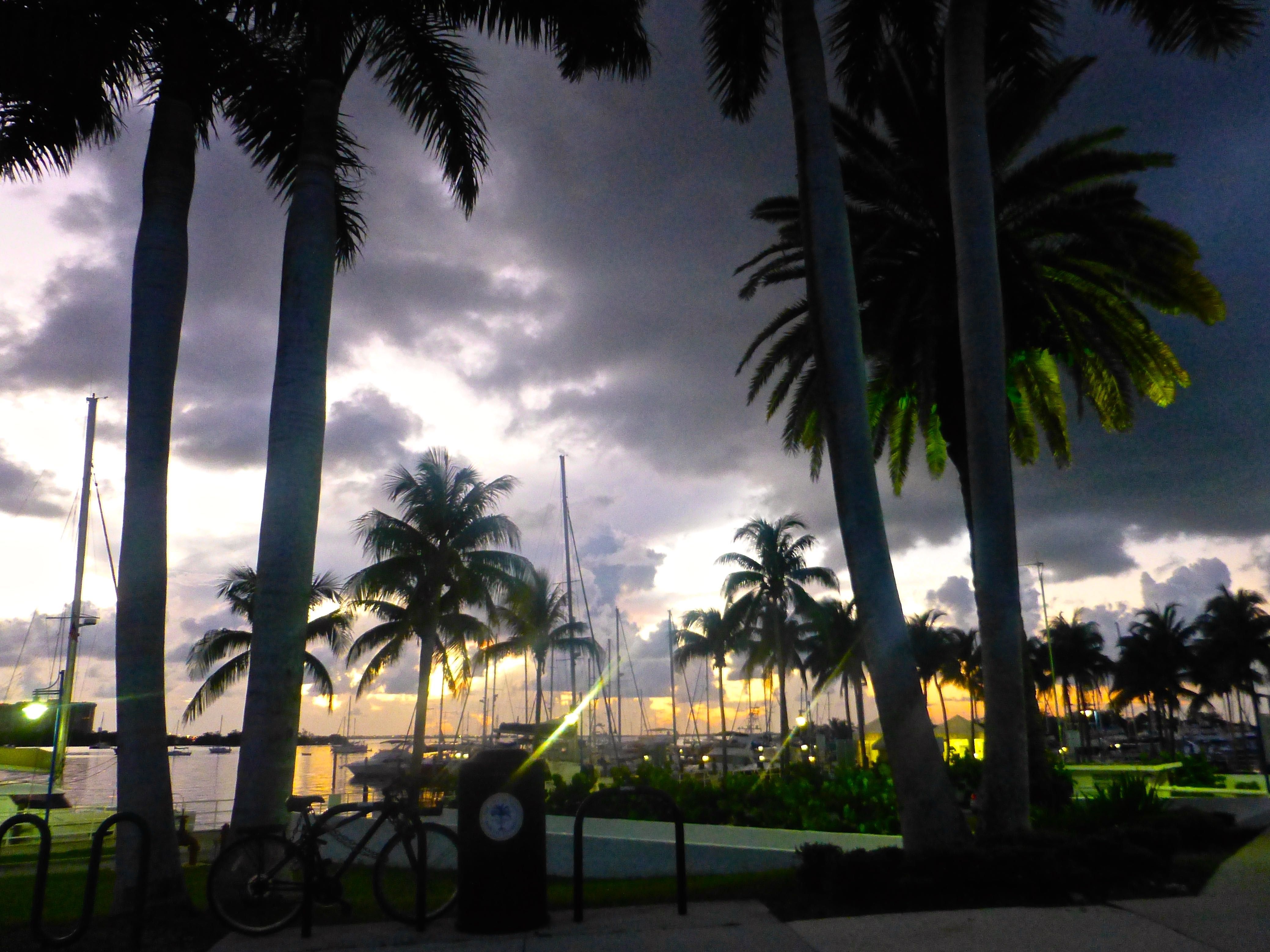 coconut grove fireworks