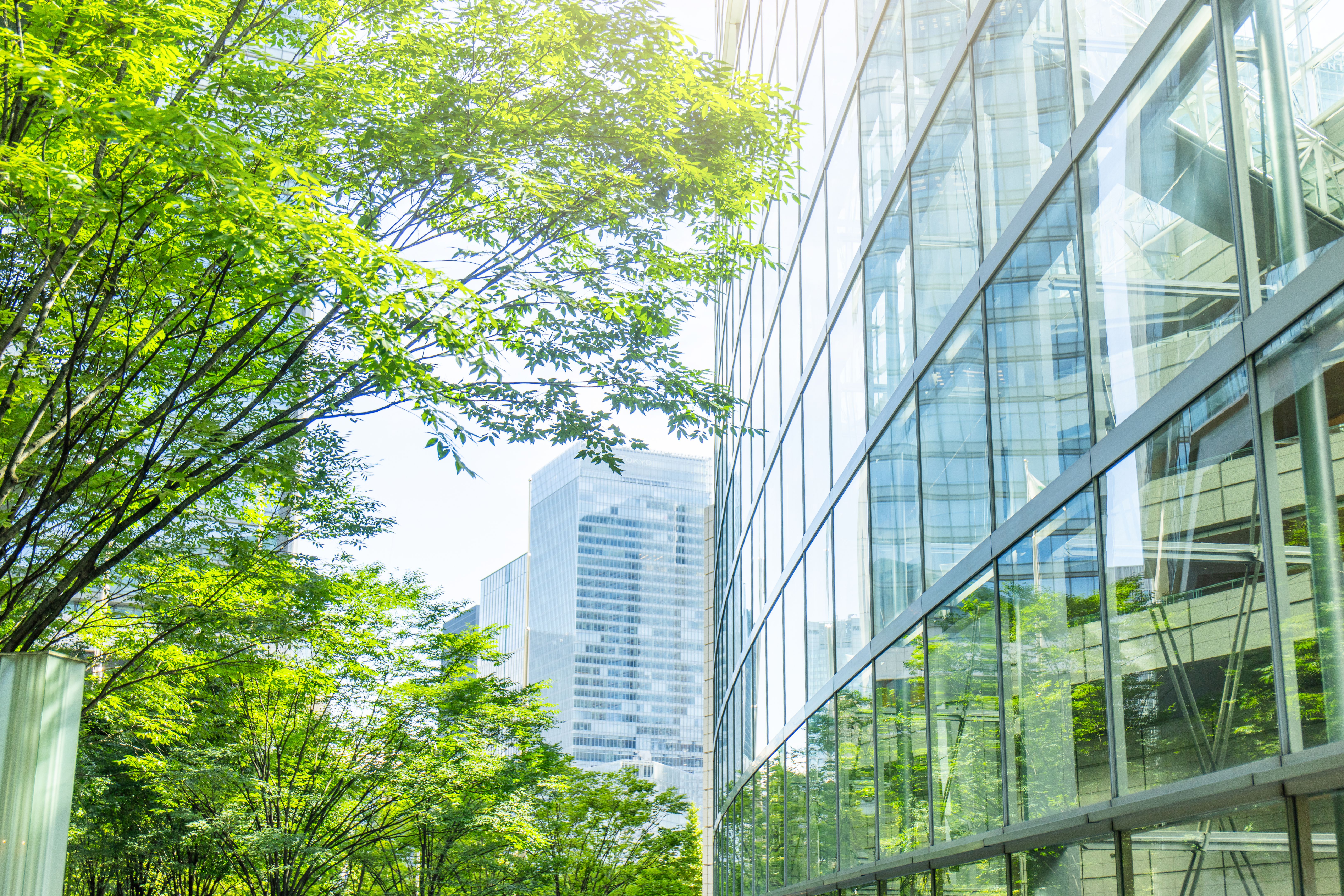 summer glass building