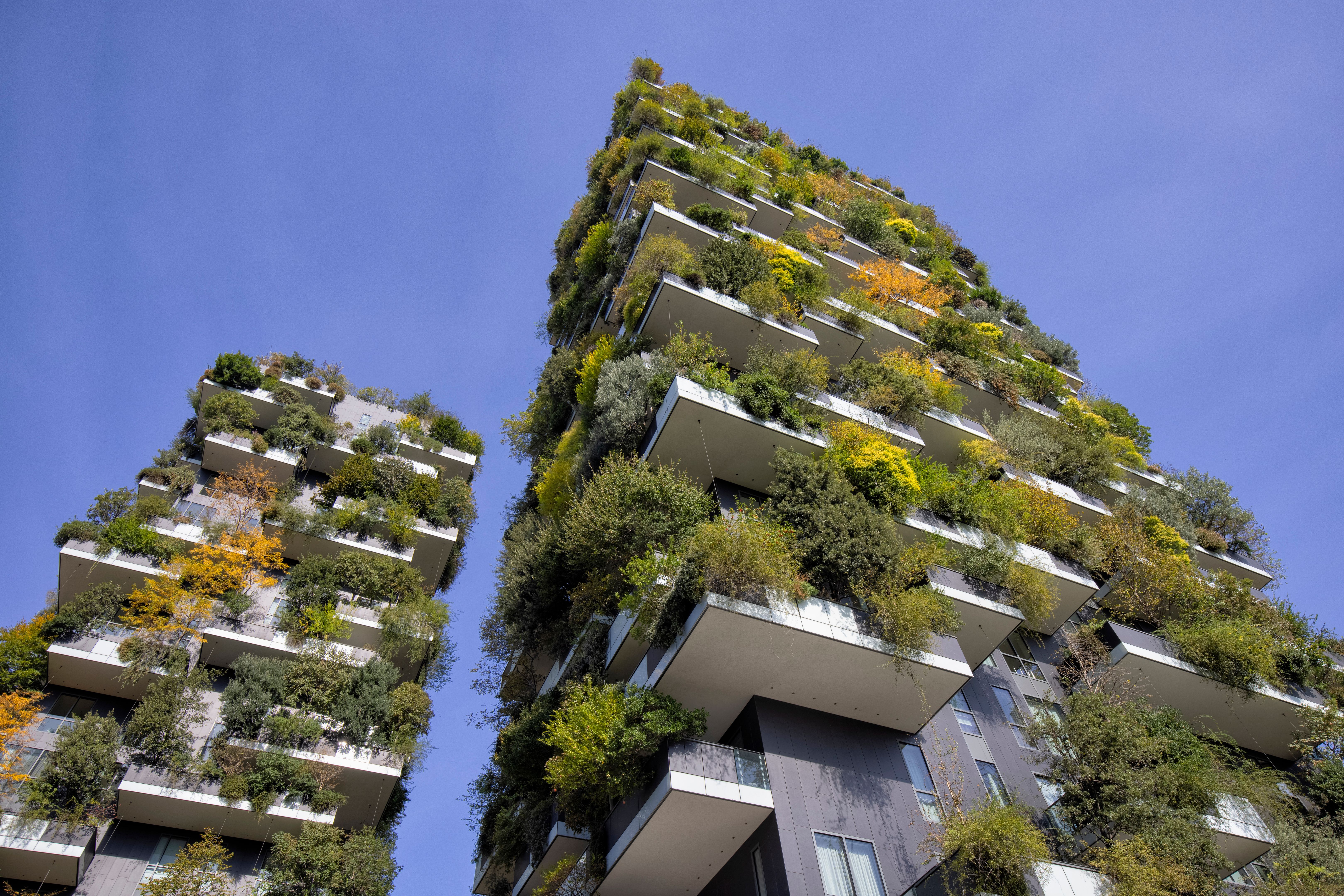 vertical forest building