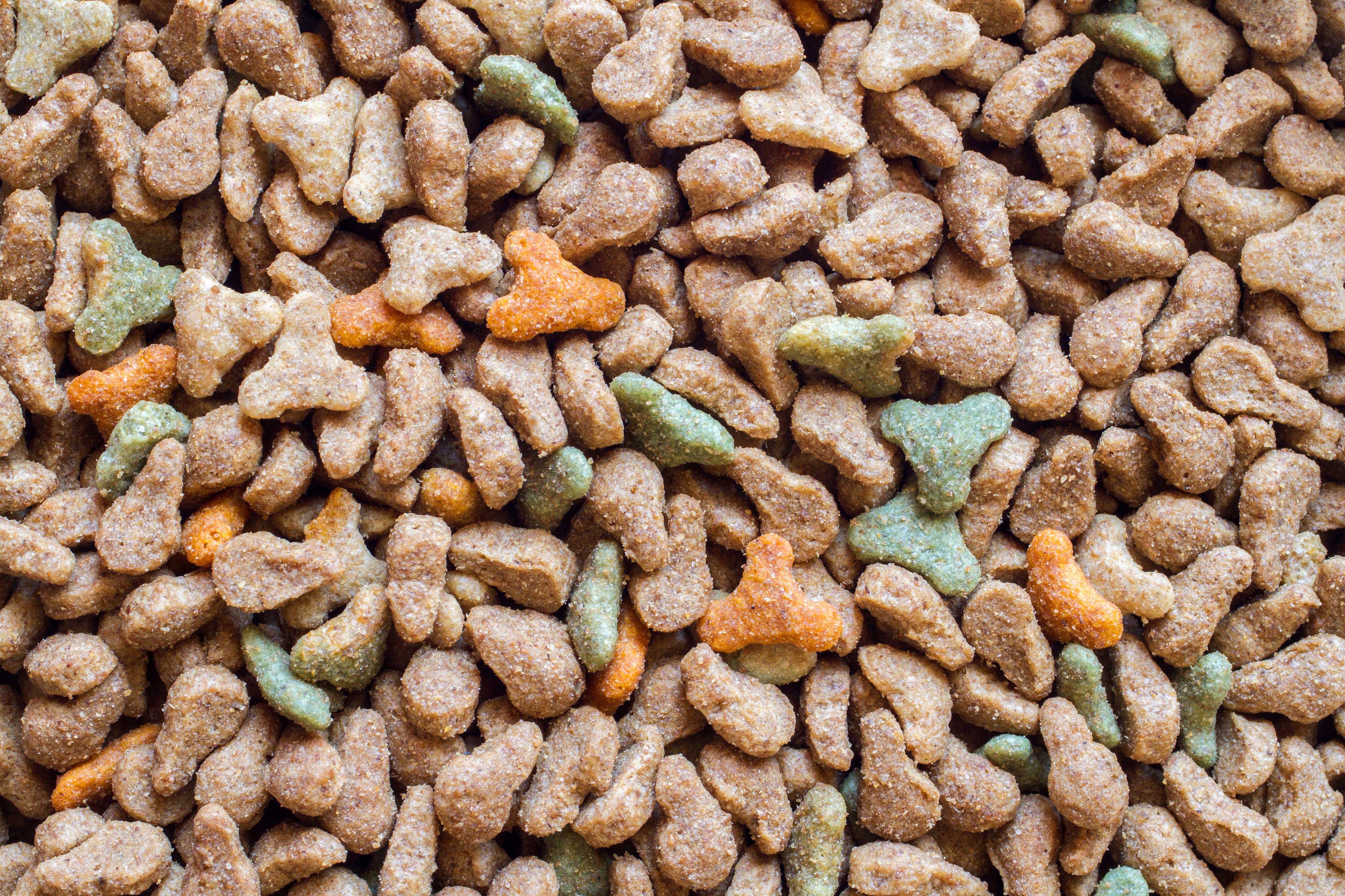 dog meal ingredients