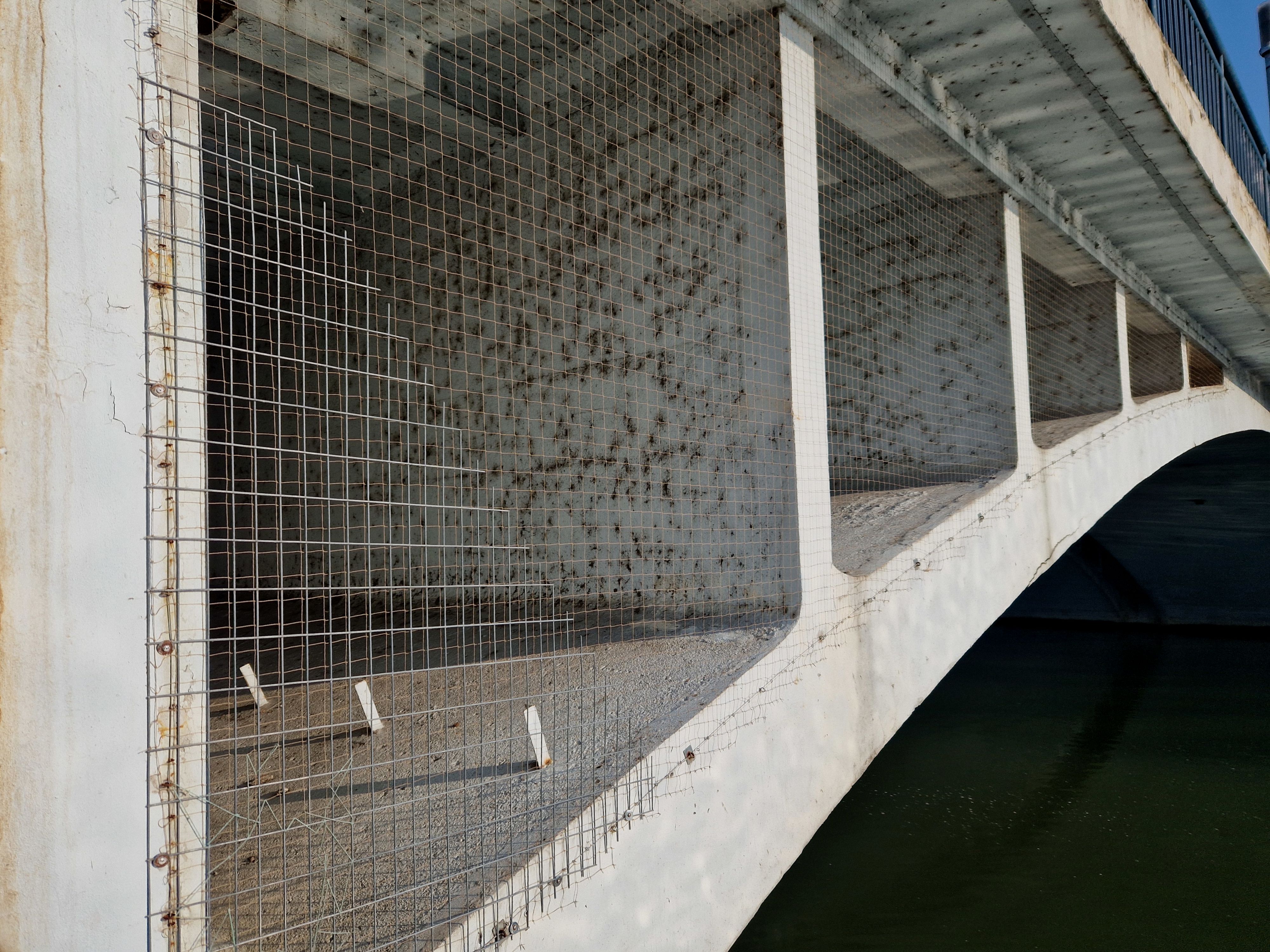 bird nests prevention