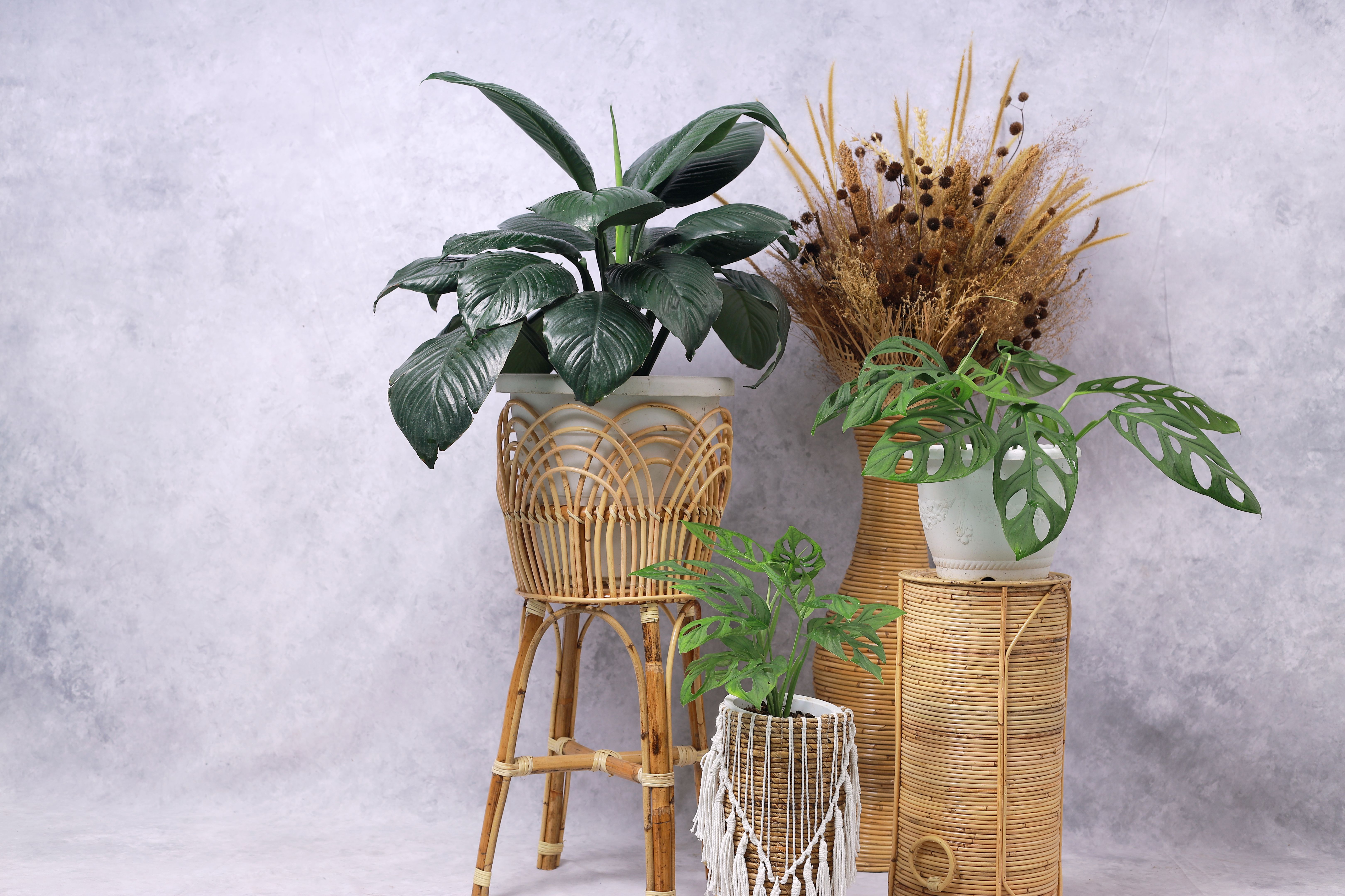 natural elements interior