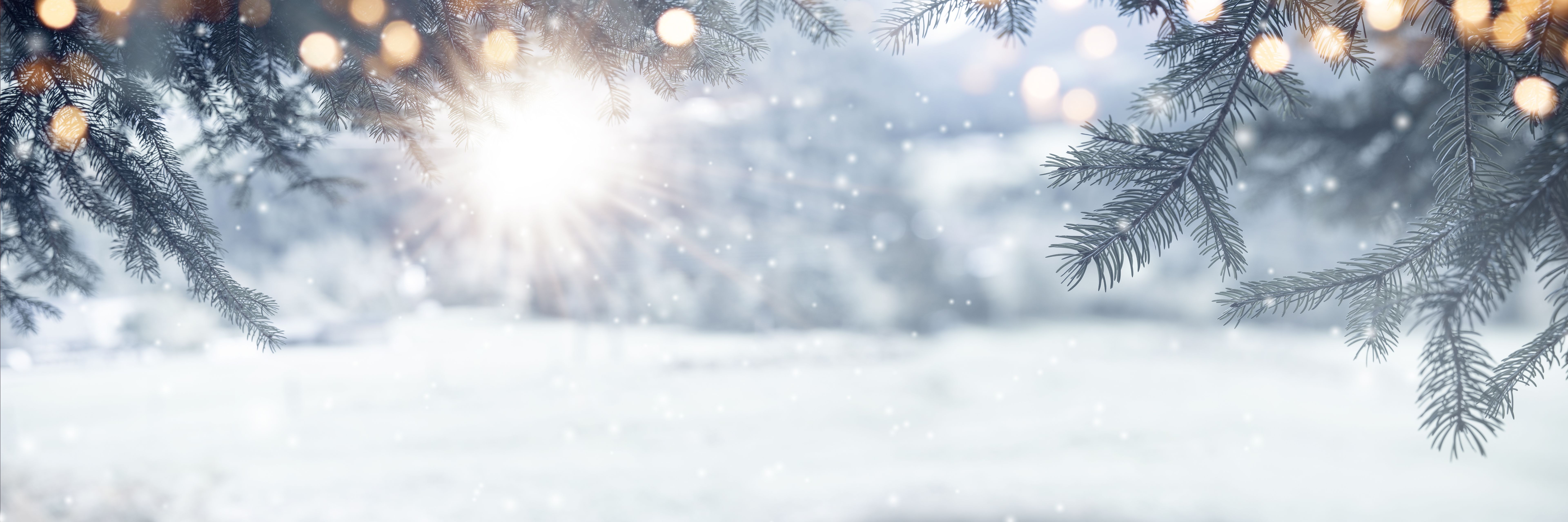 winter landscape