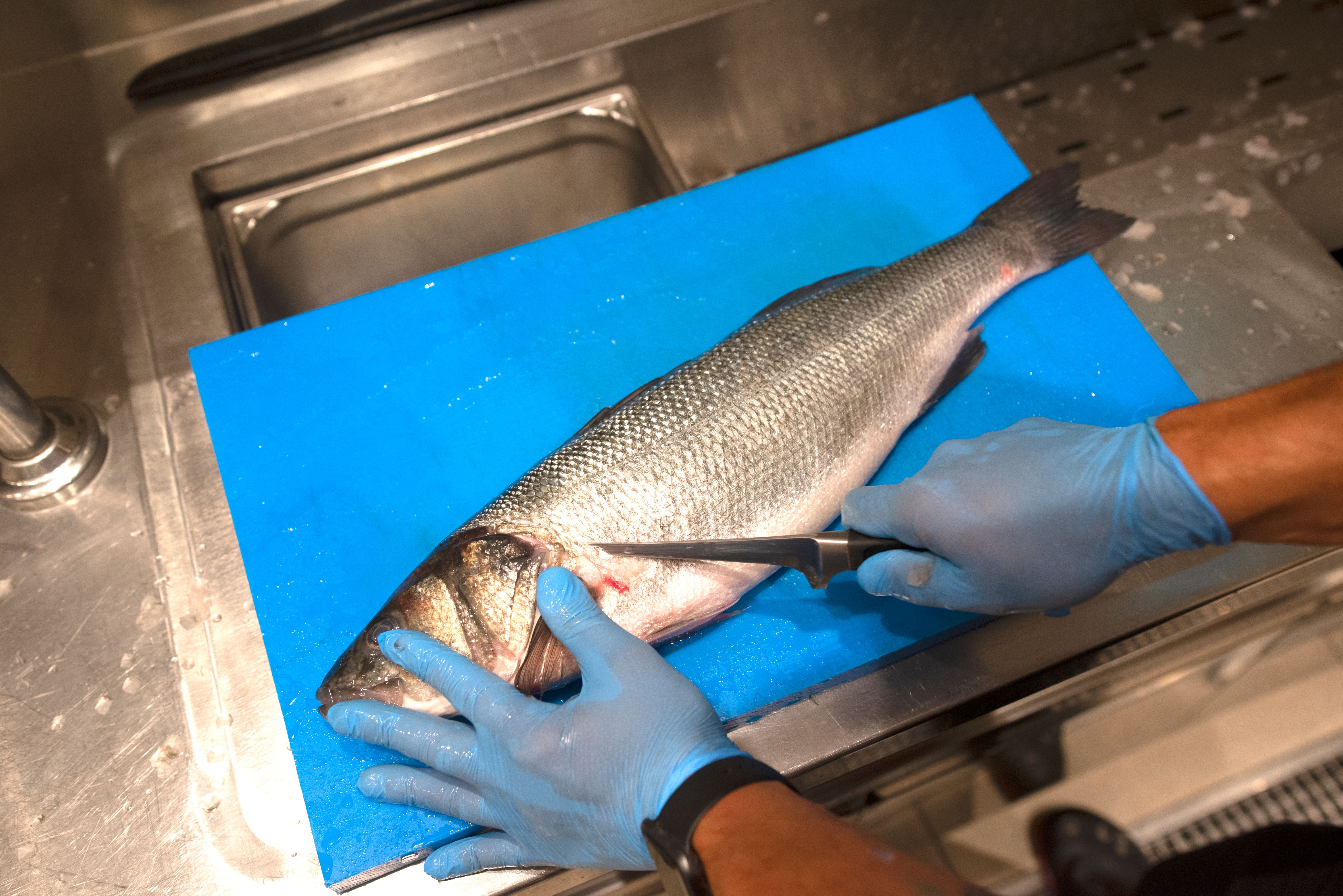 electric fish scaler