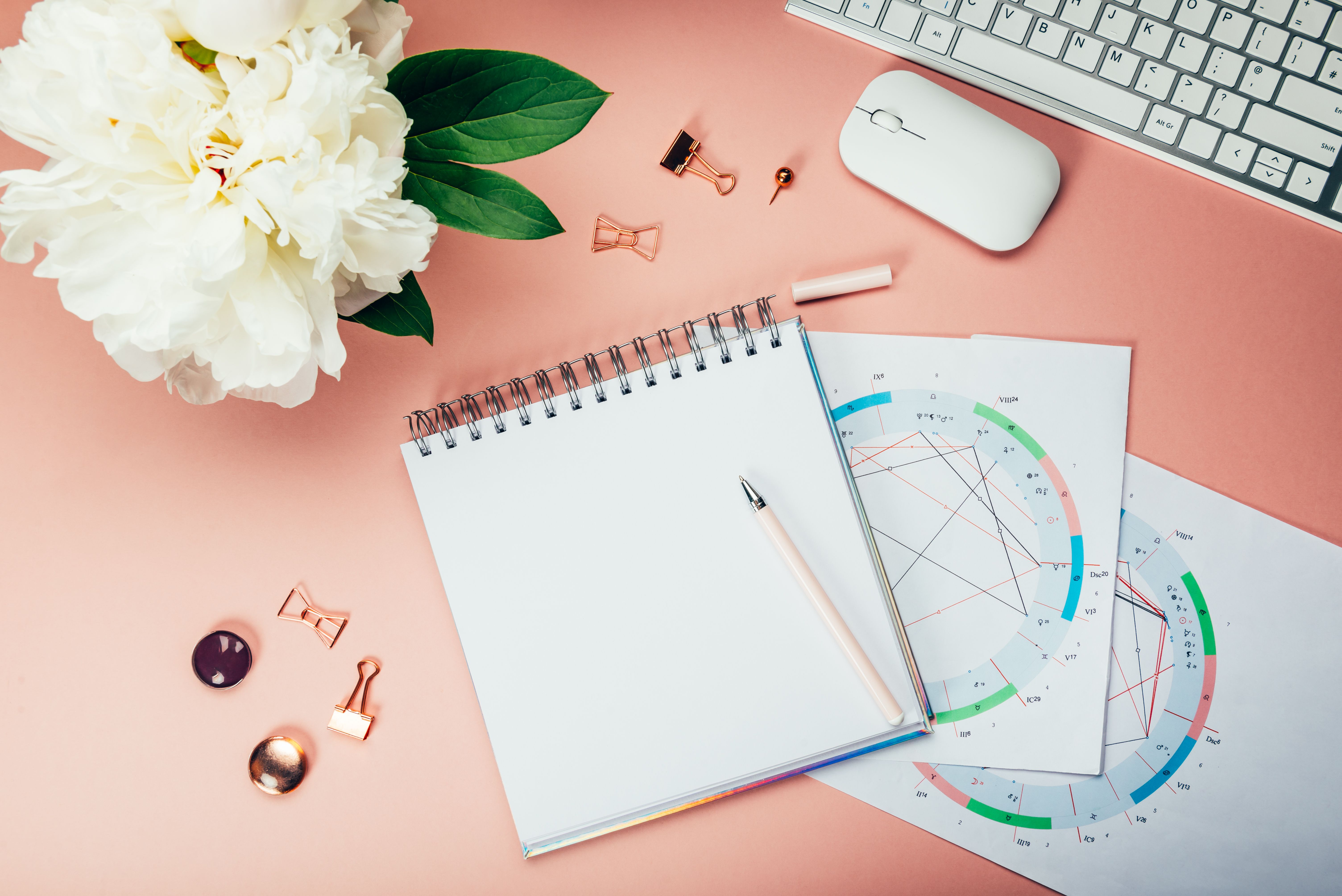 astrology consultation