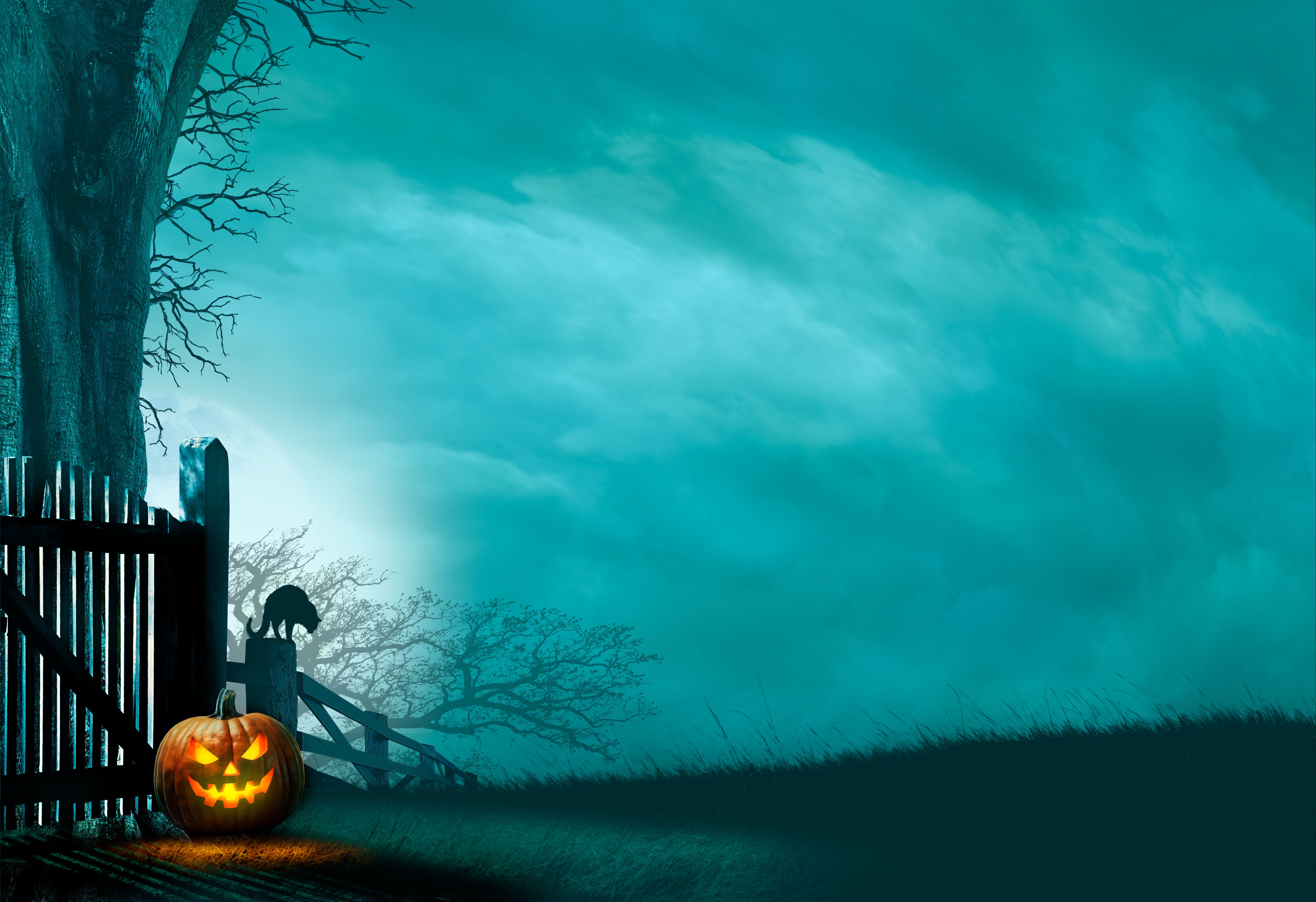 Jack O'lantern Sitting At Base Of Old Gate