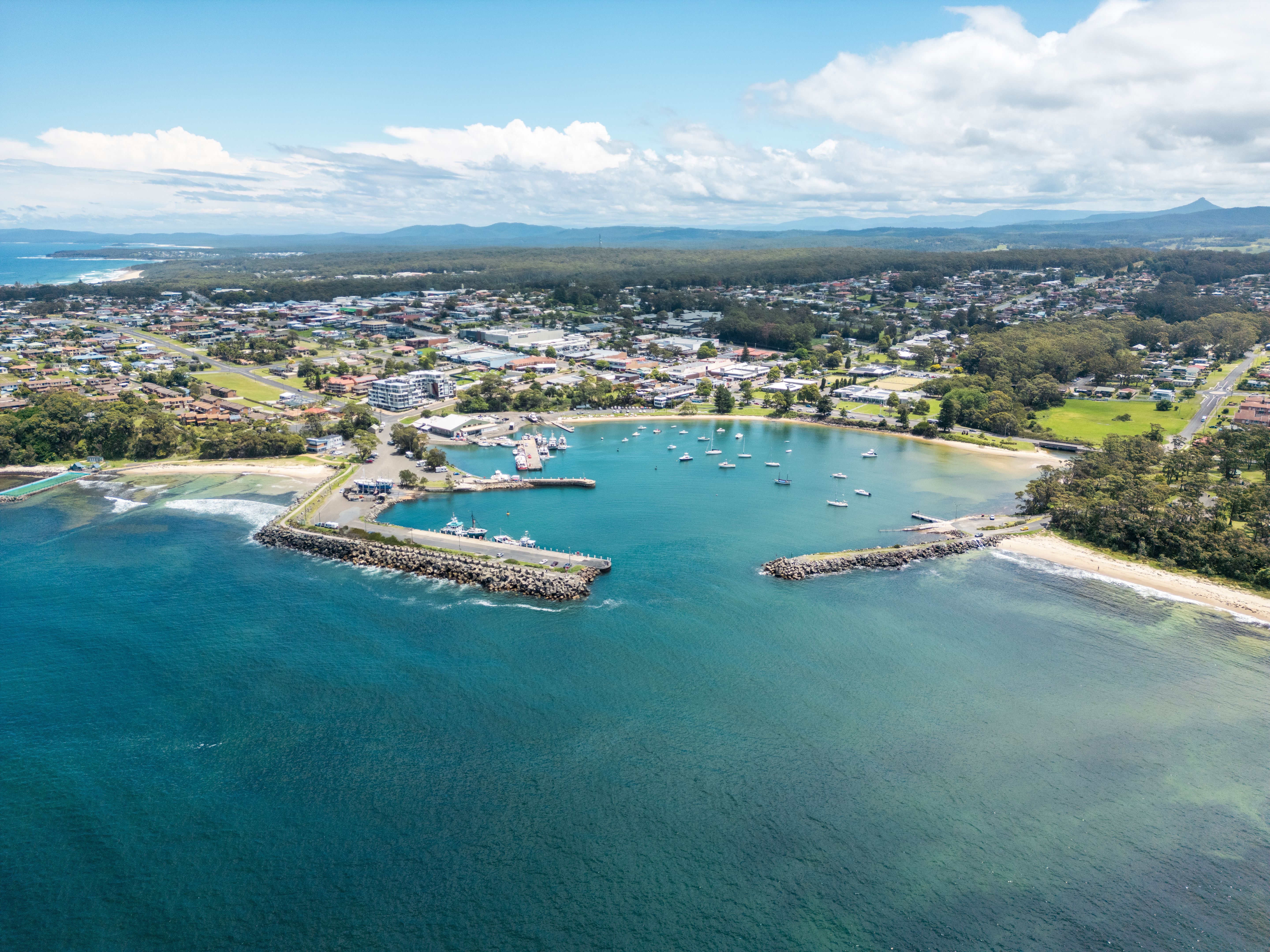nsw south coast seafood
