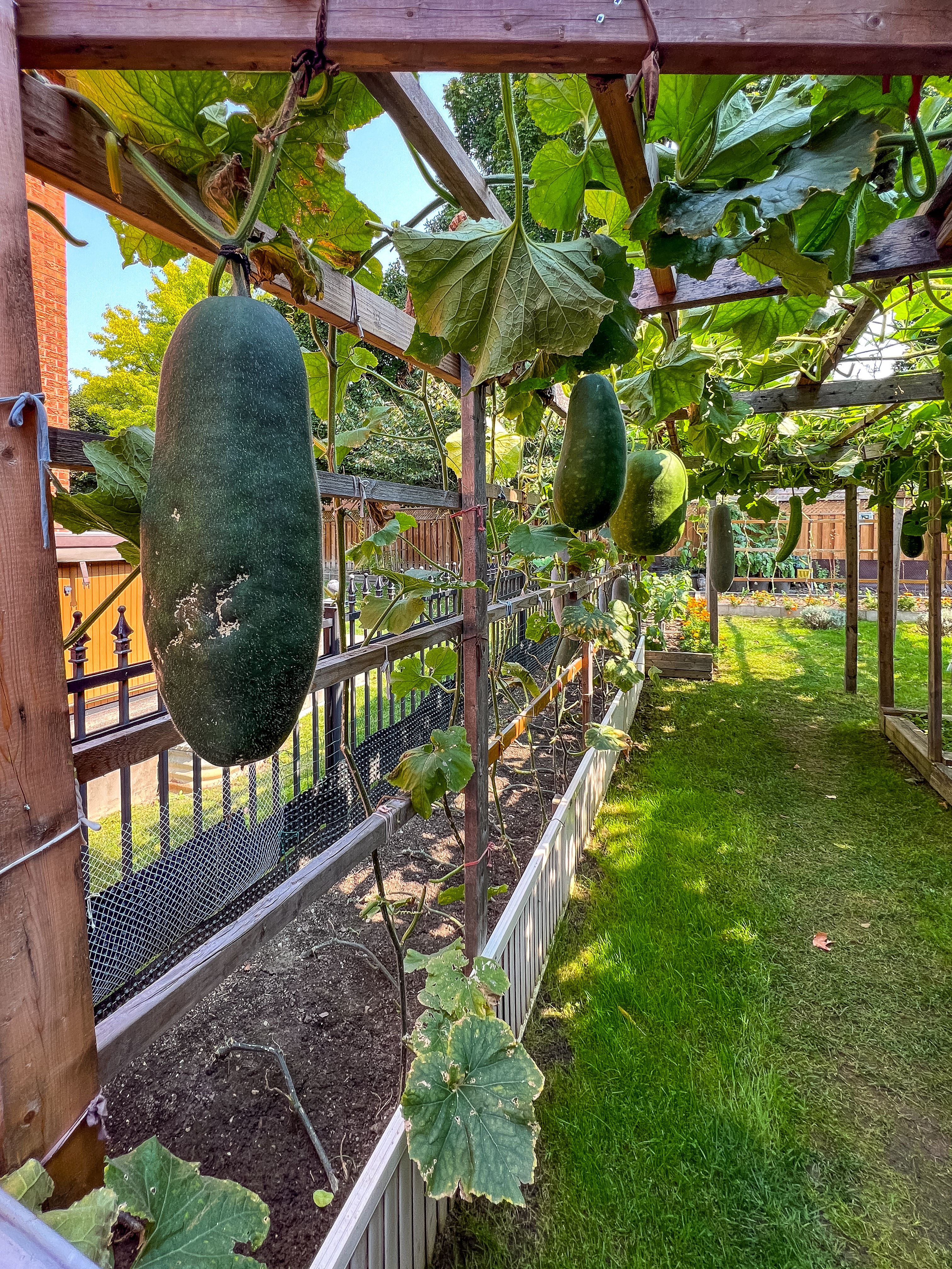 Grapevine real estate