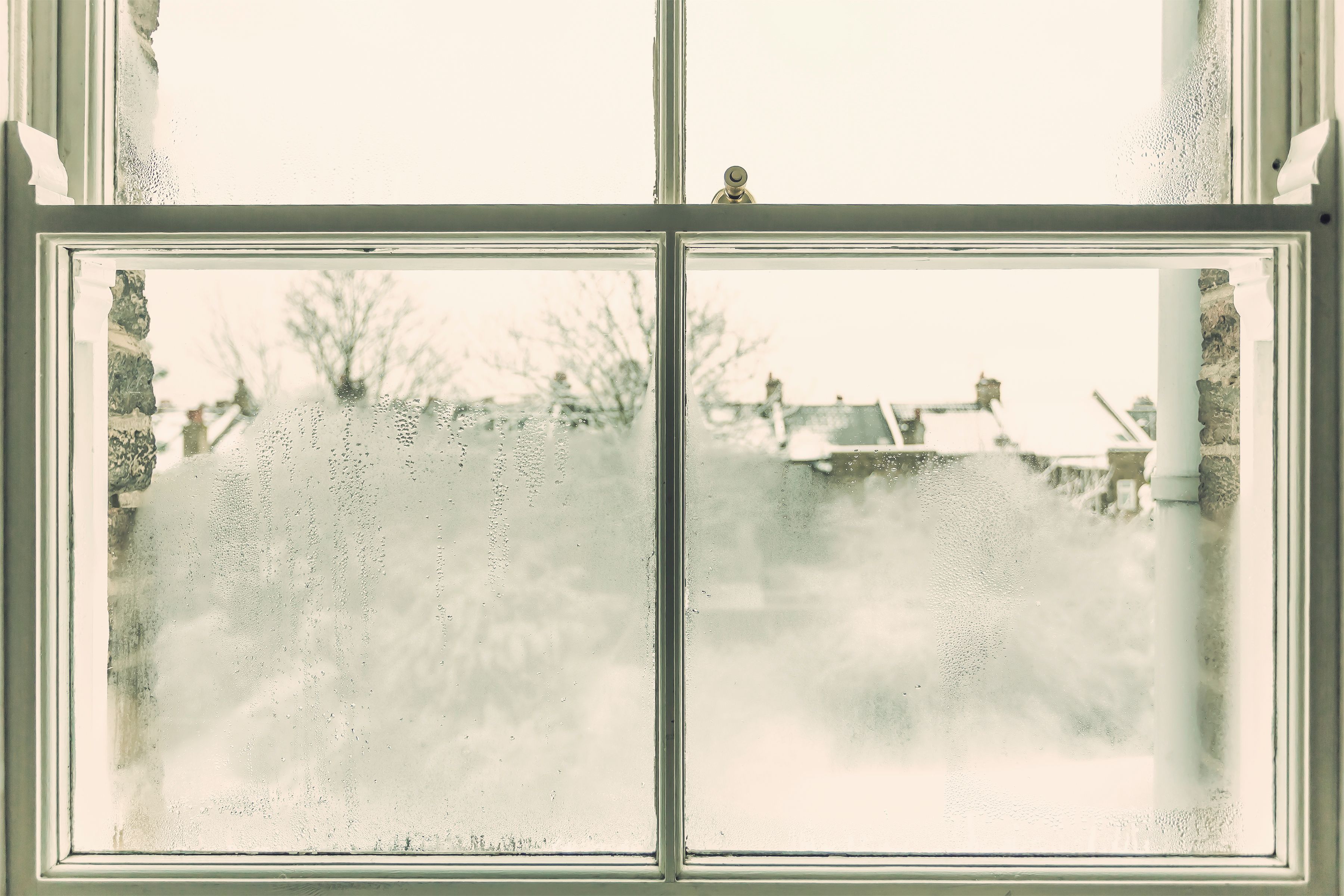 foggy window
