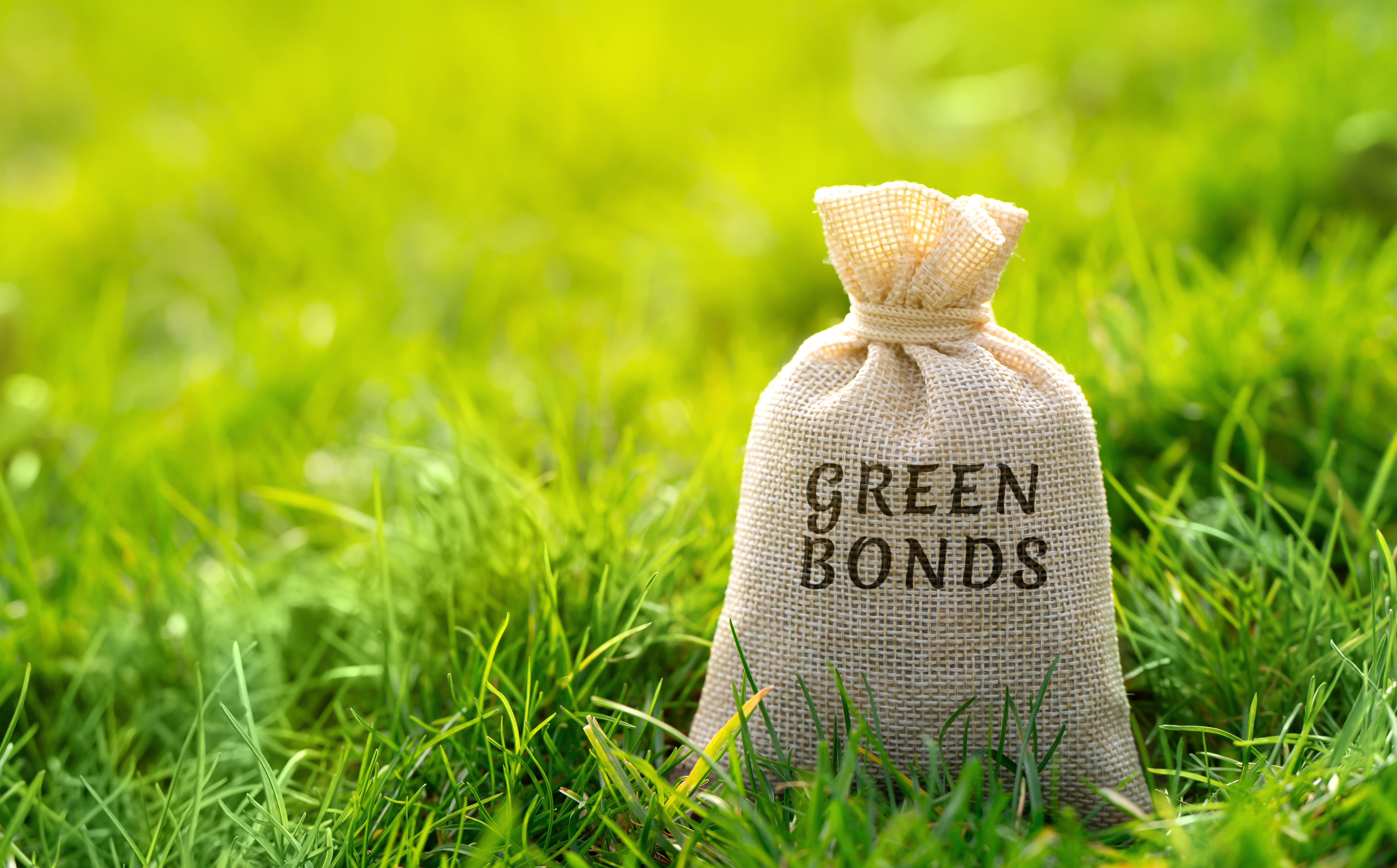 green bonds