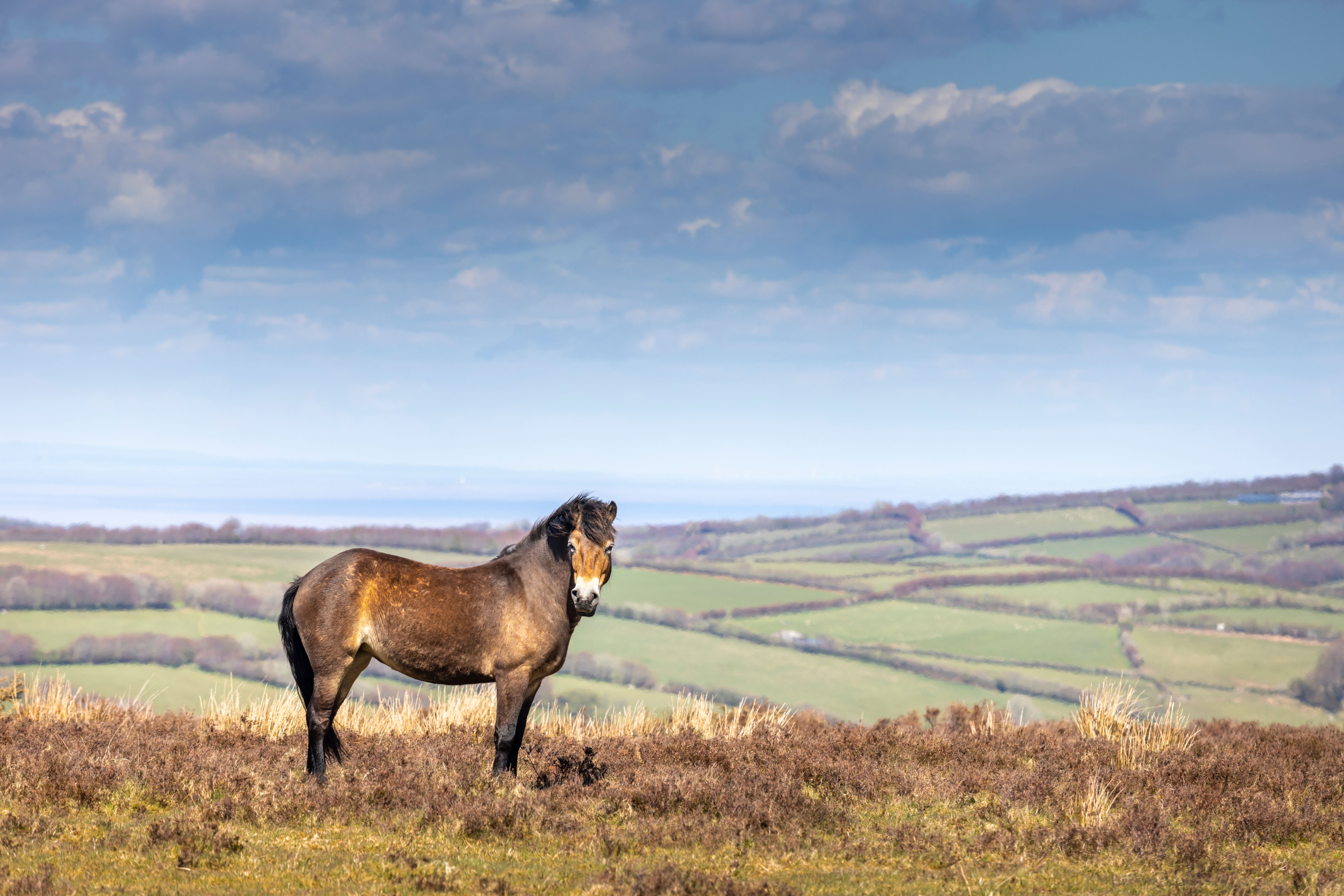 exmoor national park
