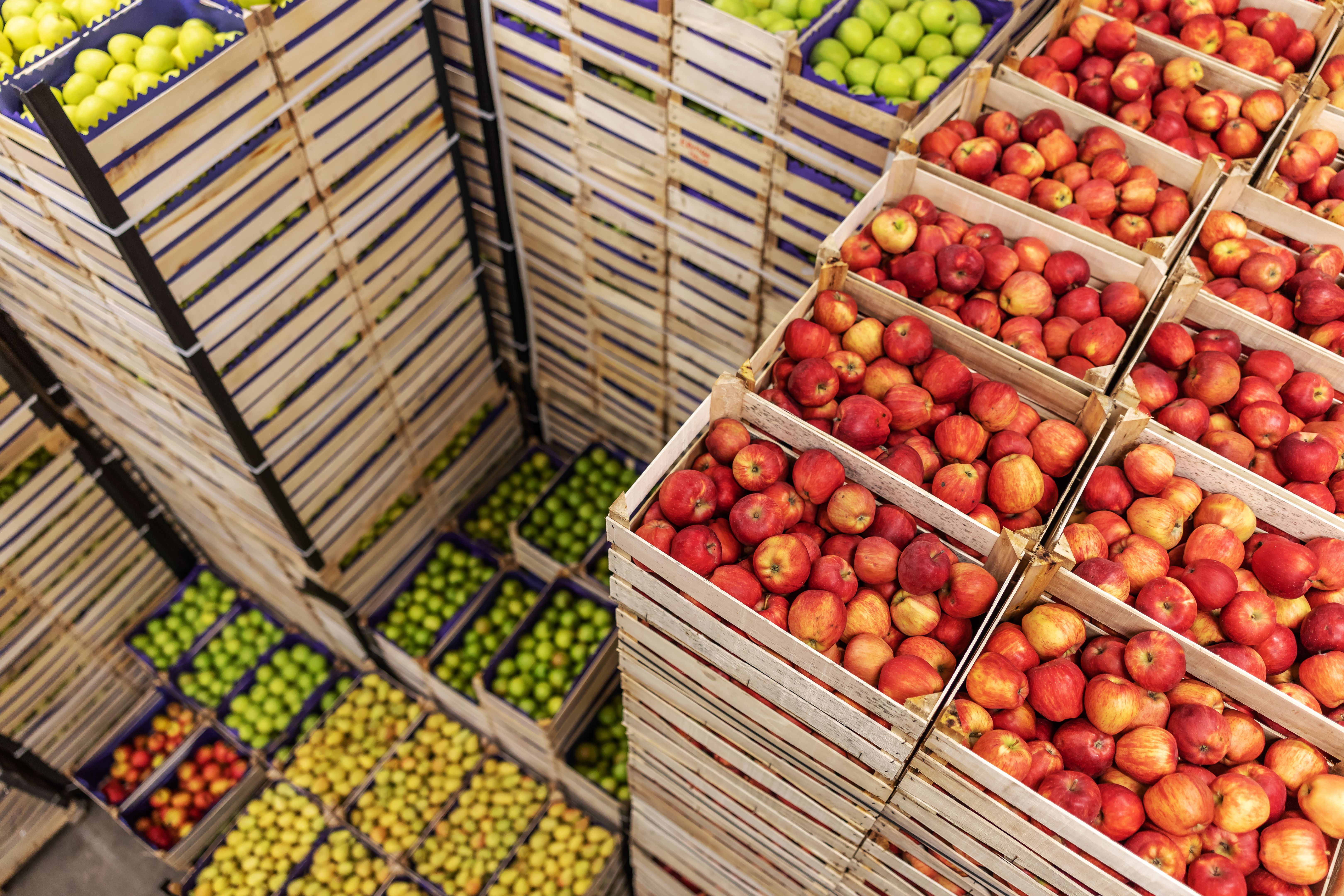 food storage
