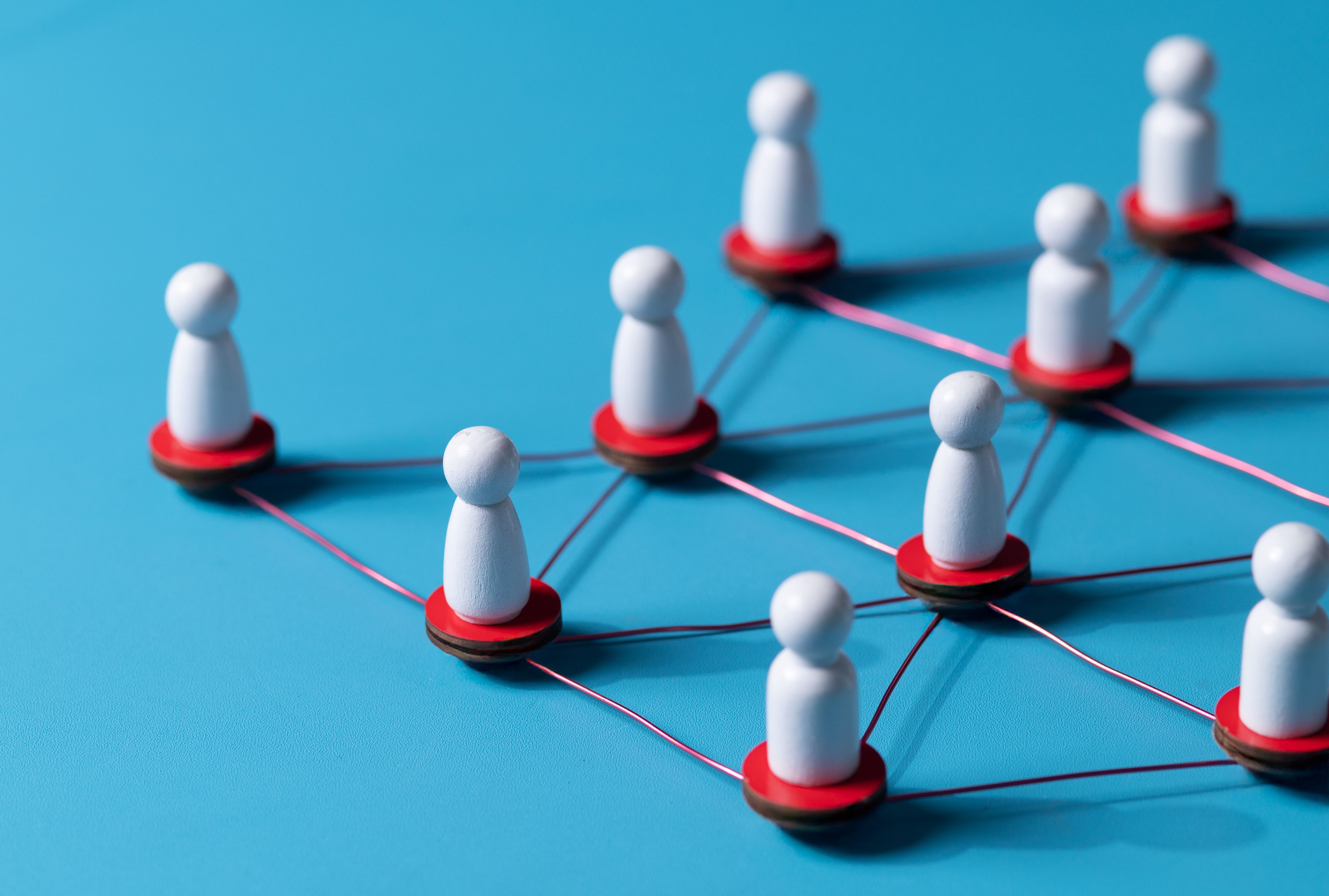 walton county business networking