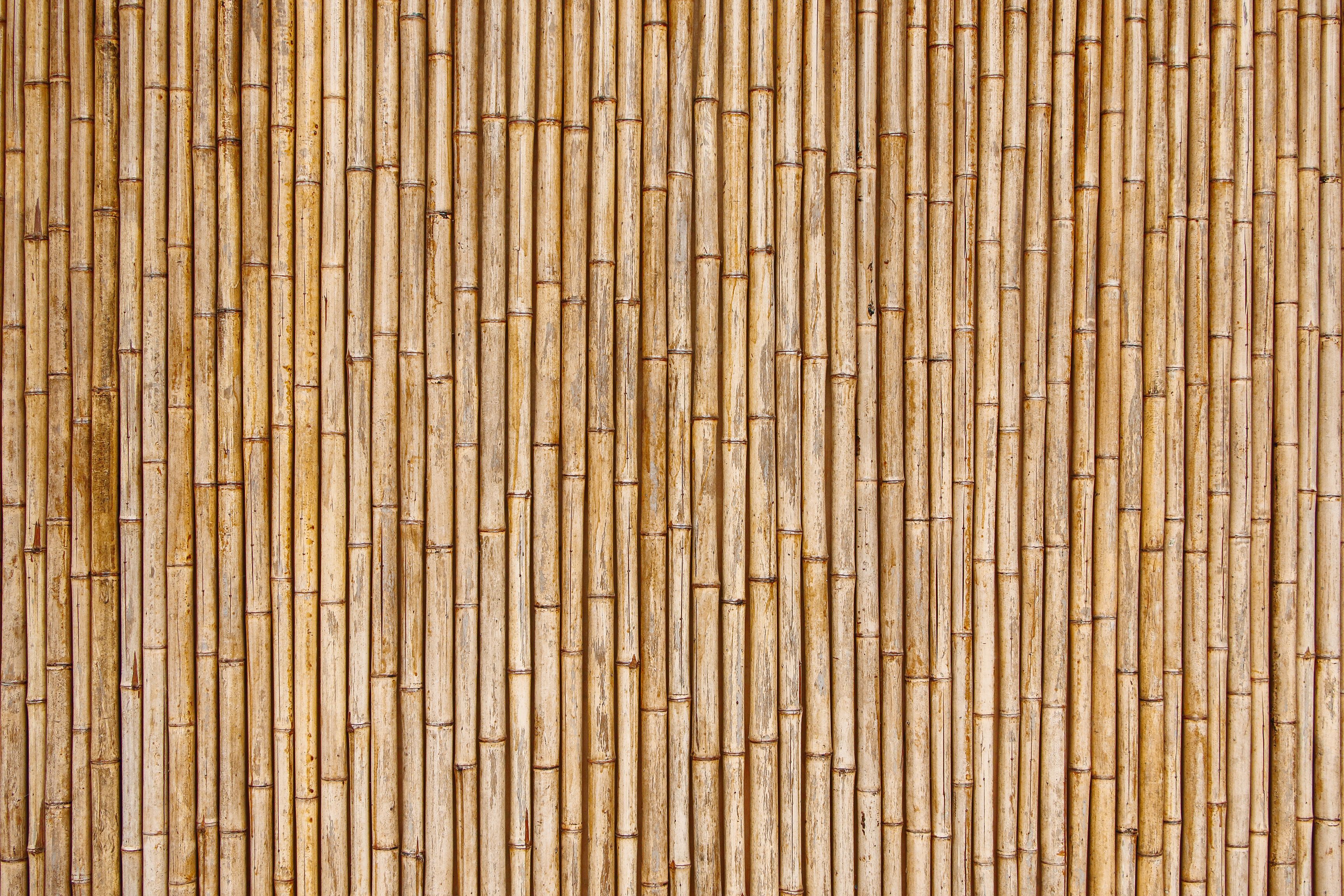 bamboo construction