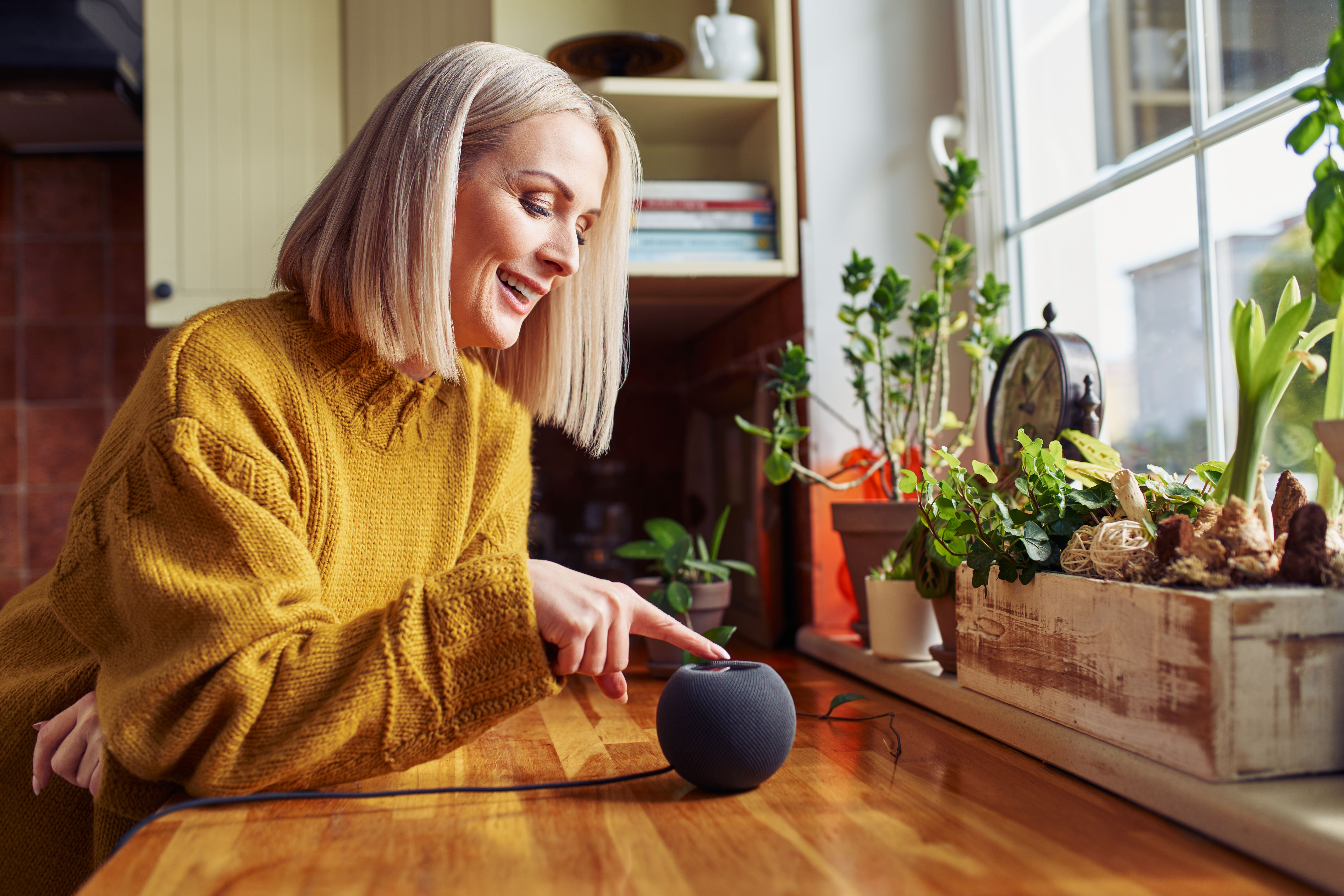 smart speaker