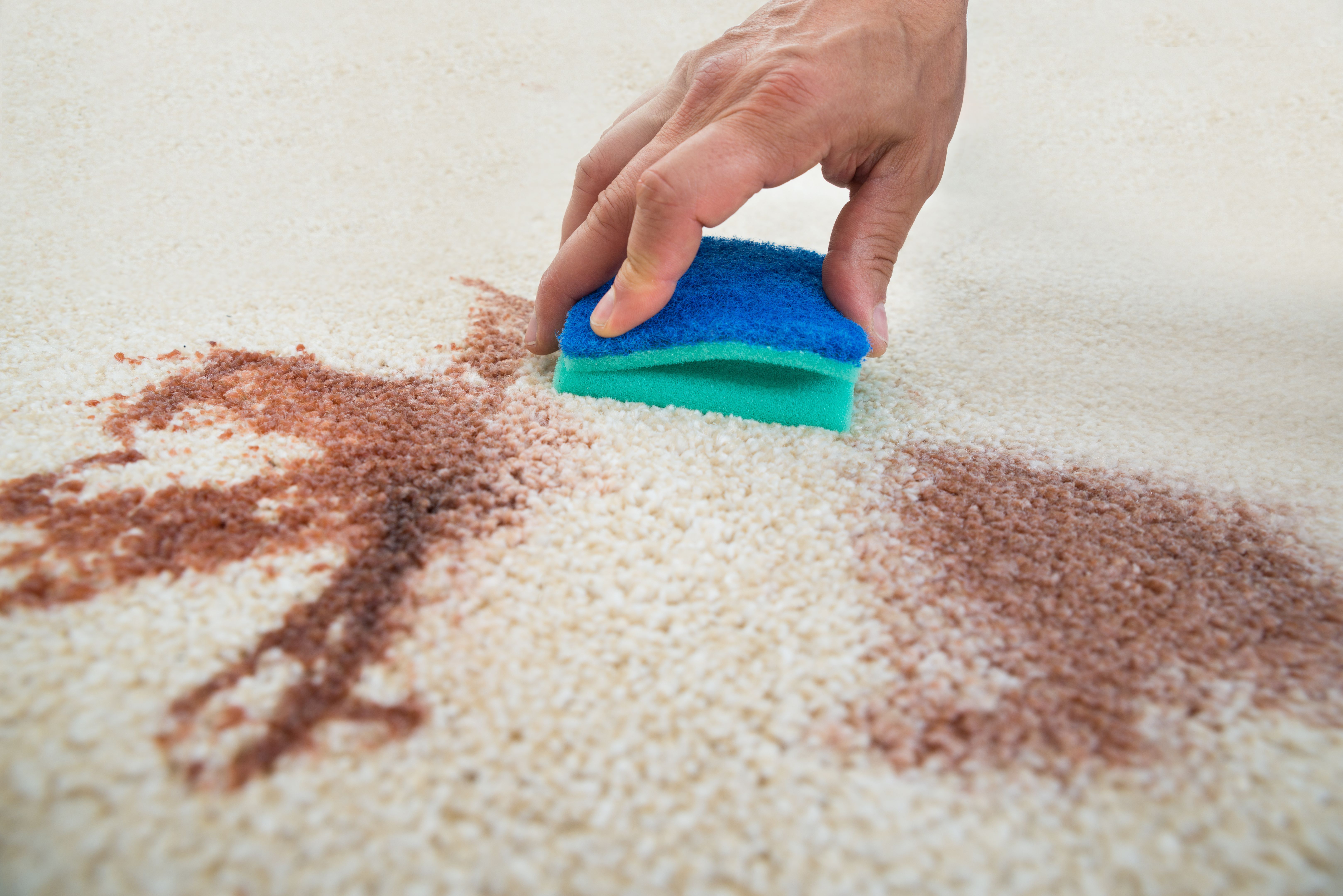 carpet stain removal