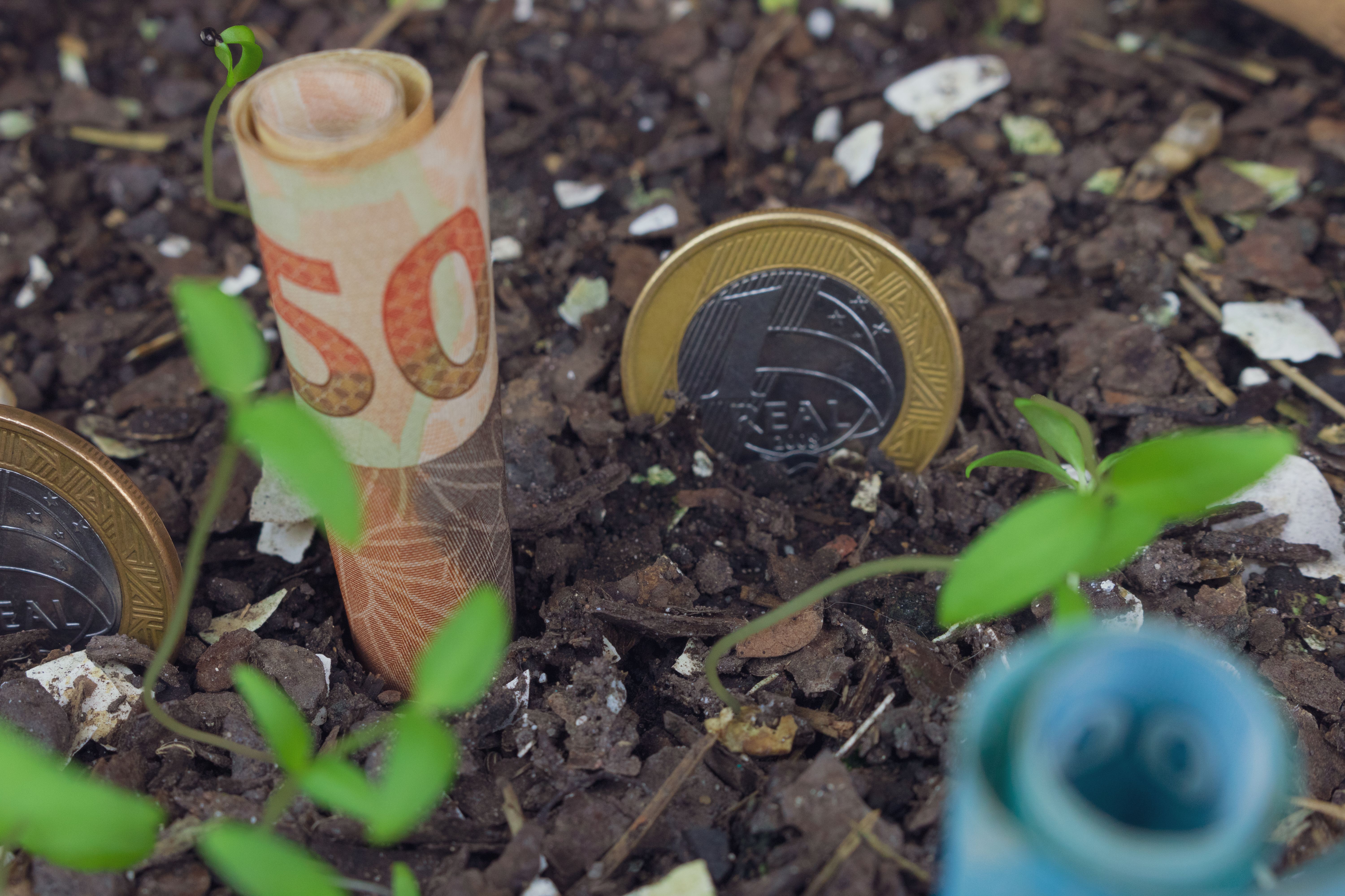 investimento sustentável