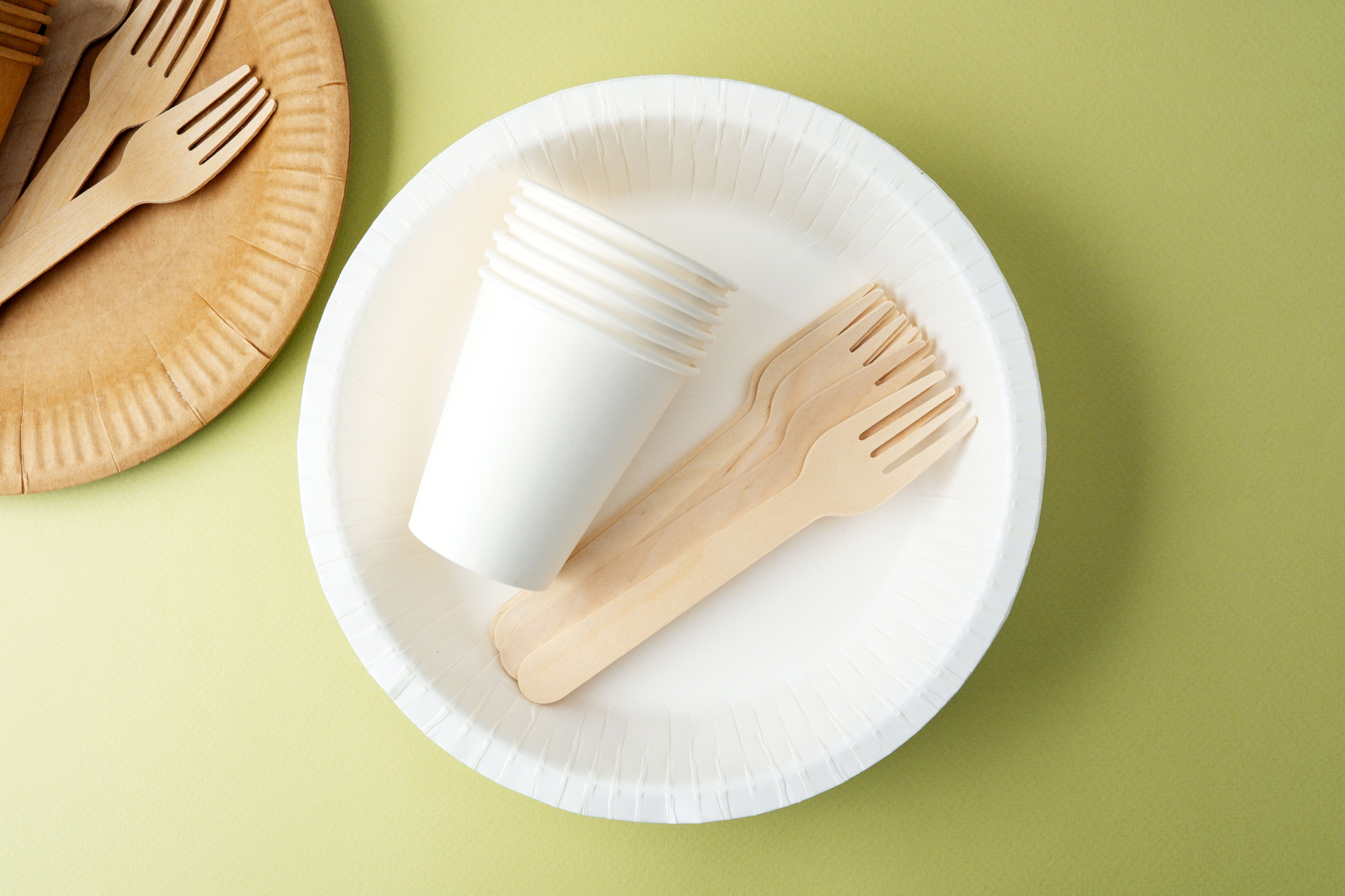 biodegradable products