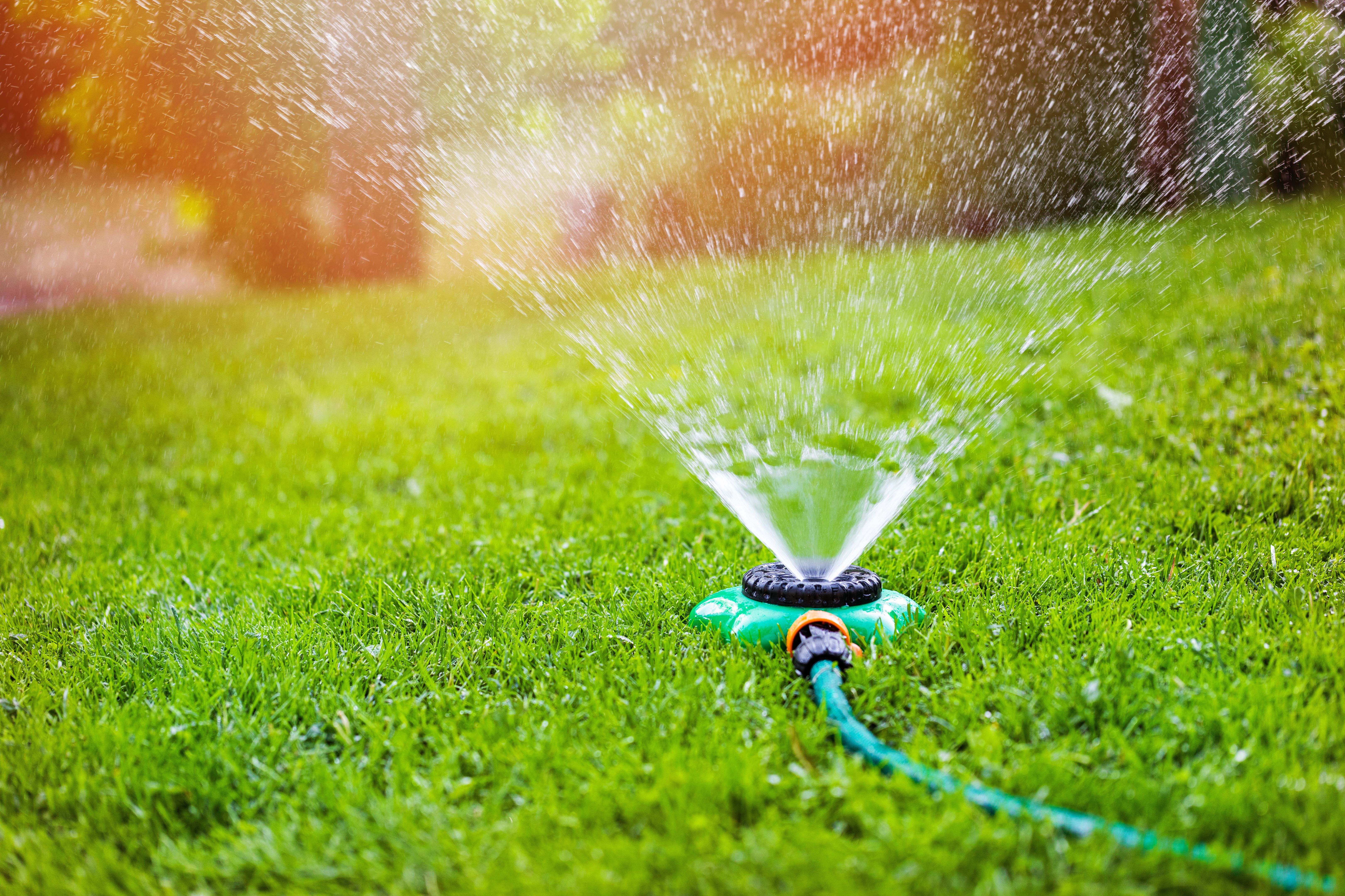 lawn watering