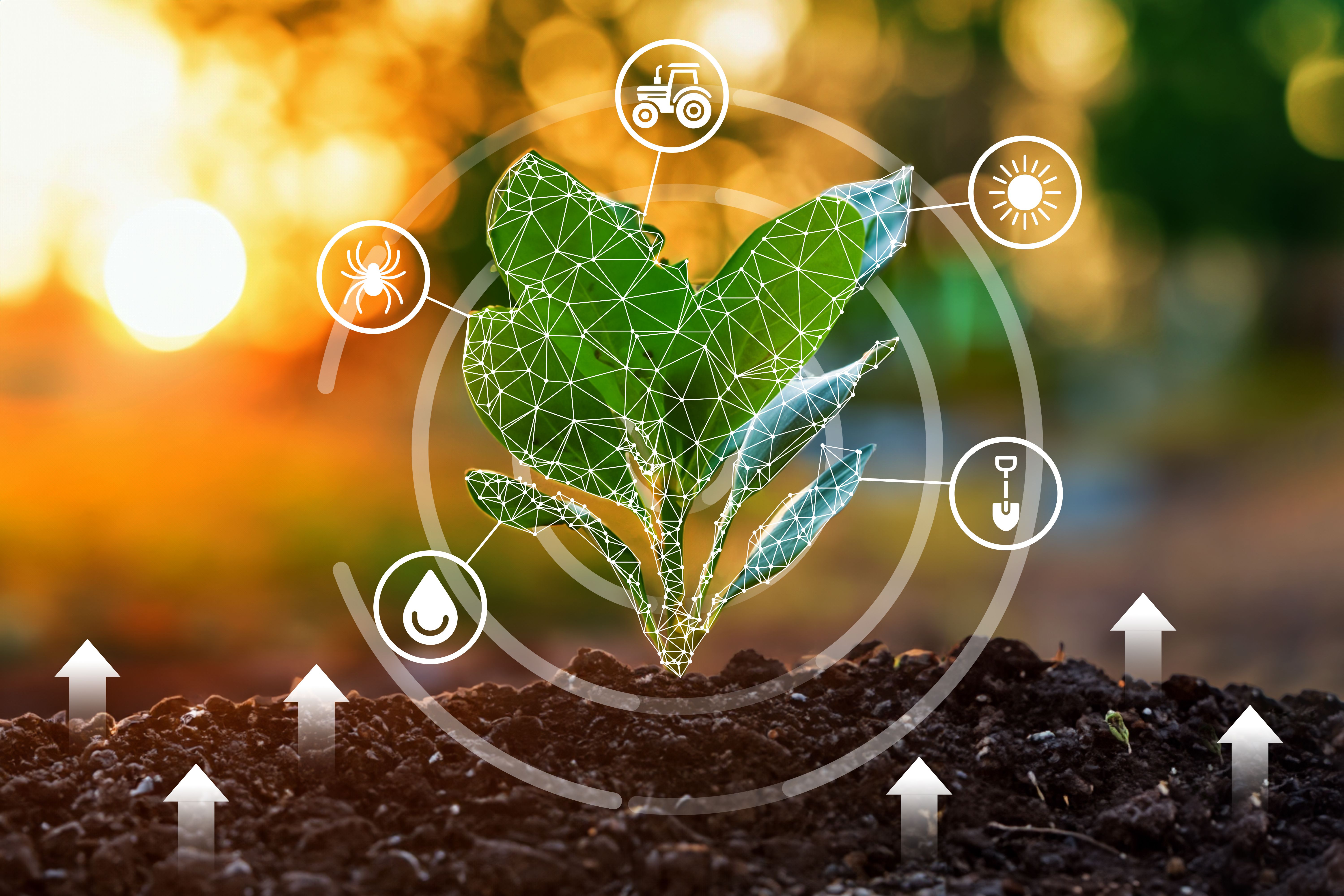 smart garden technology