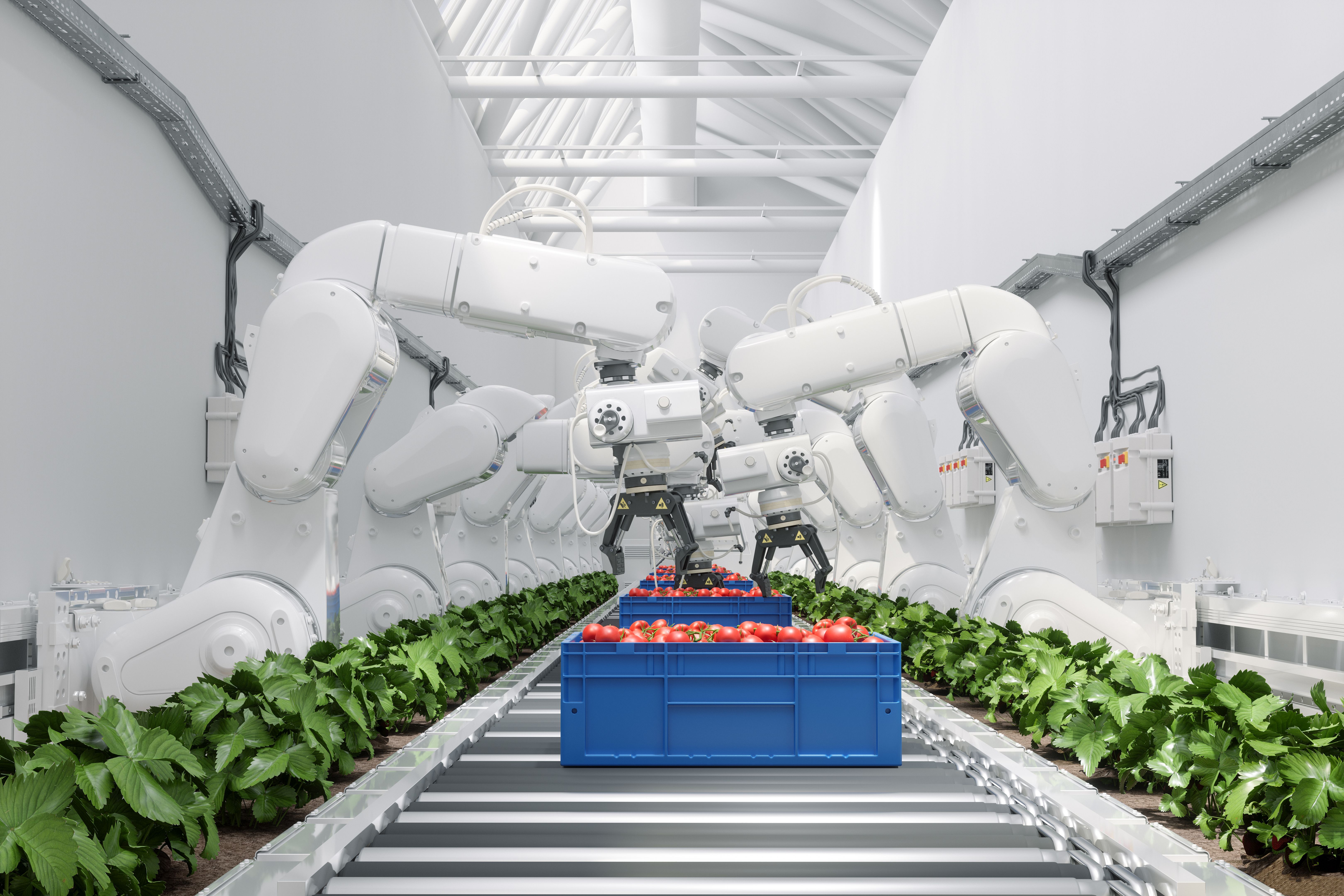 sustainable robotics