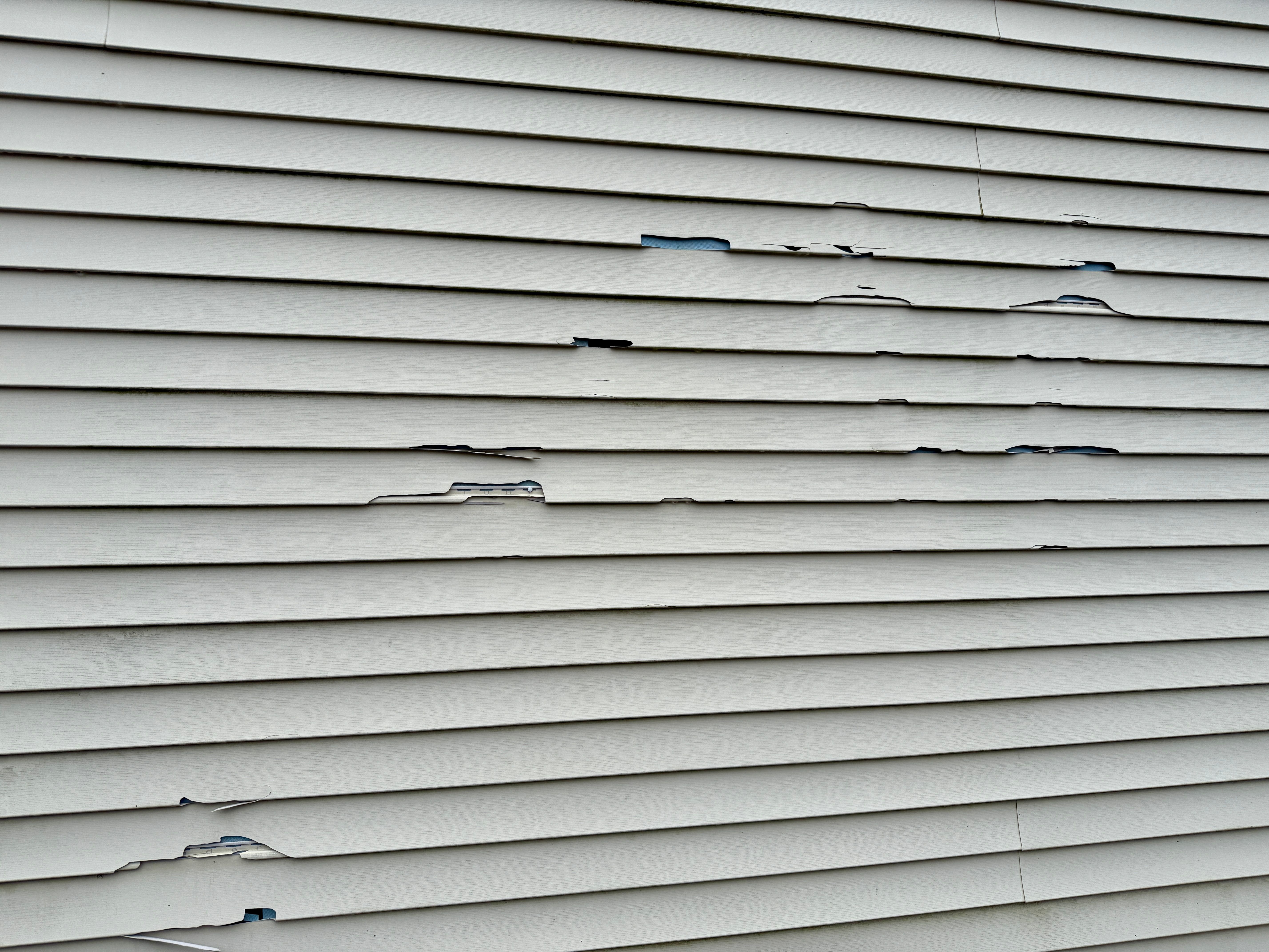 vinyl siding