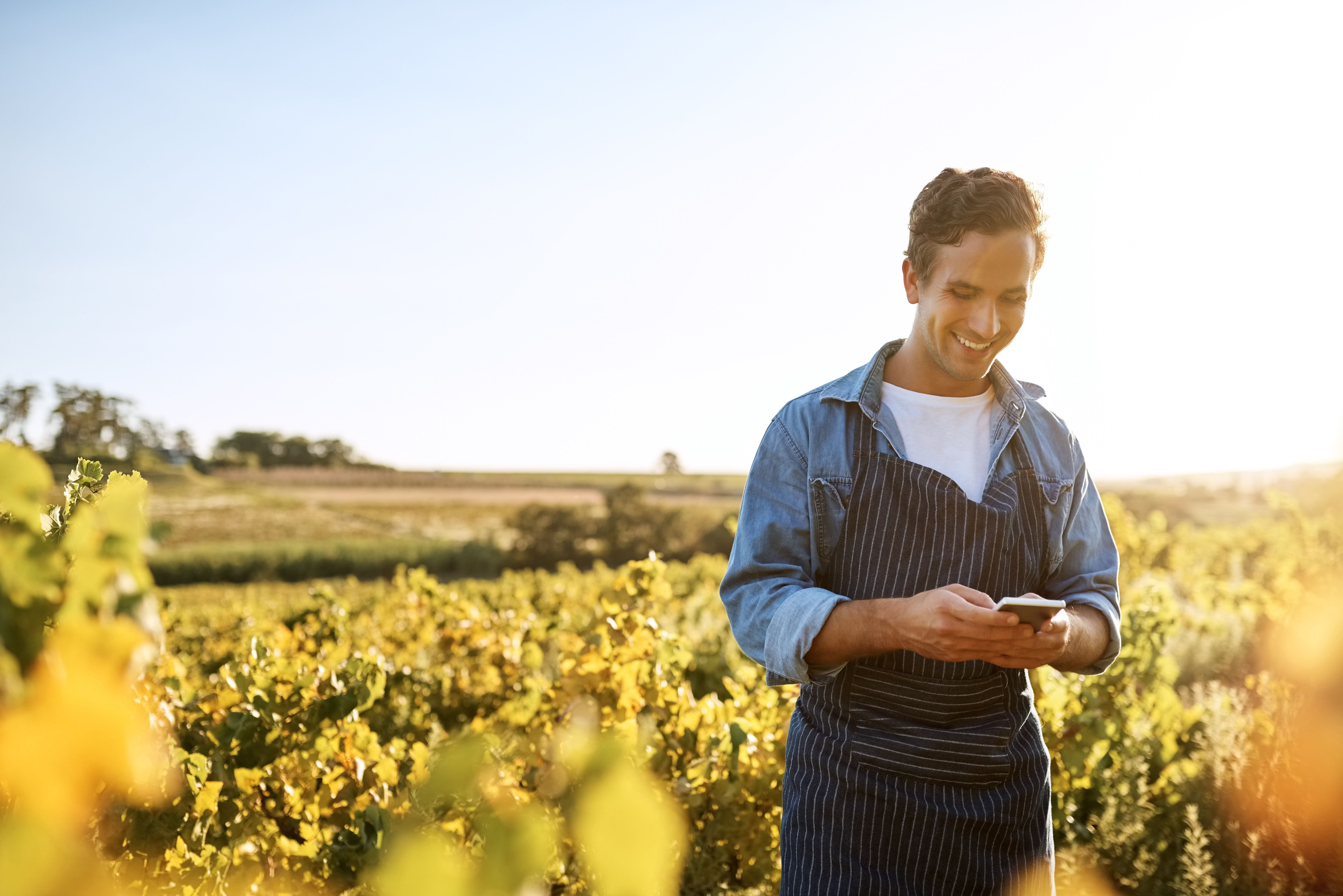 small business sustainability