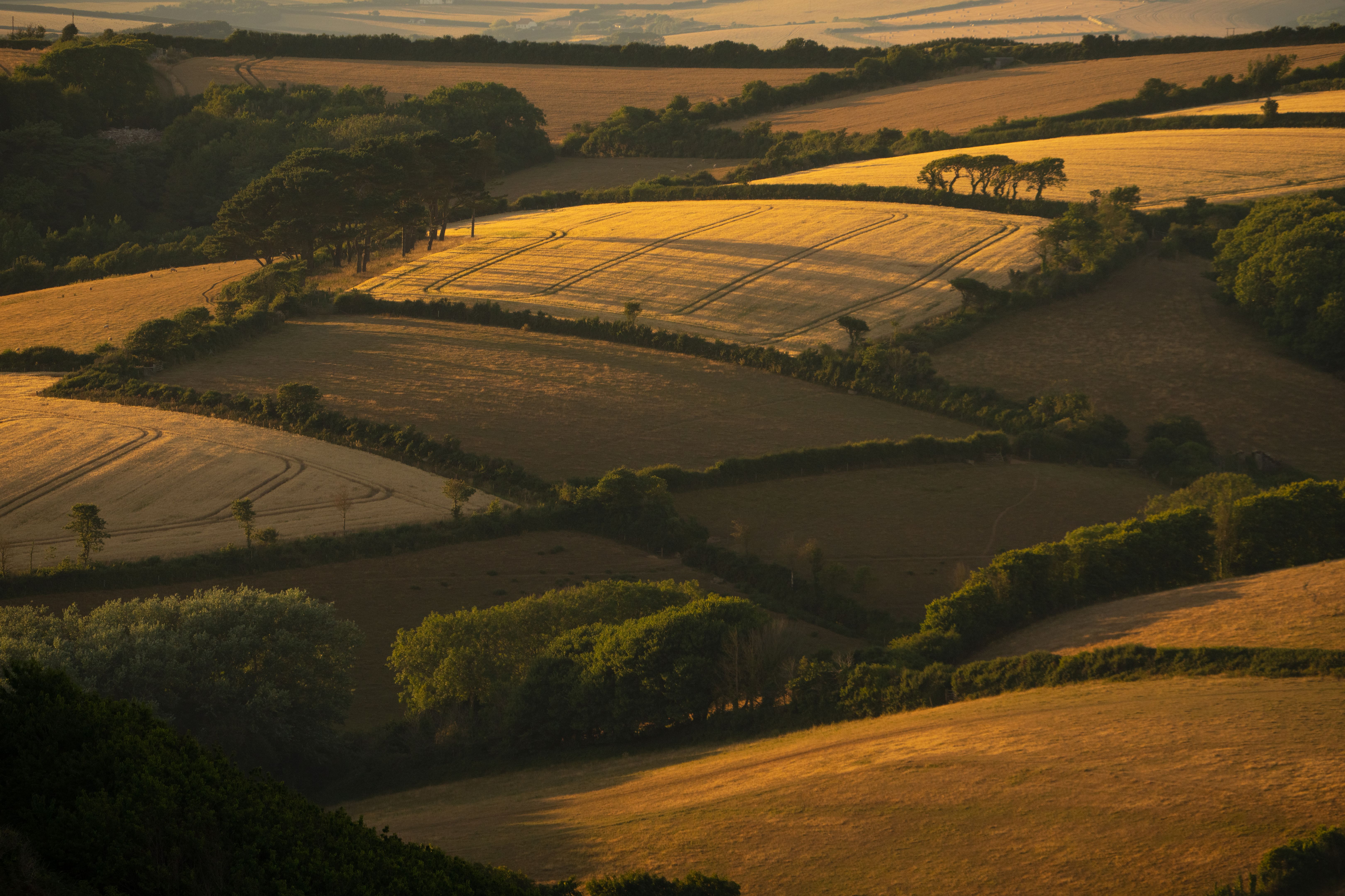 devon landscape