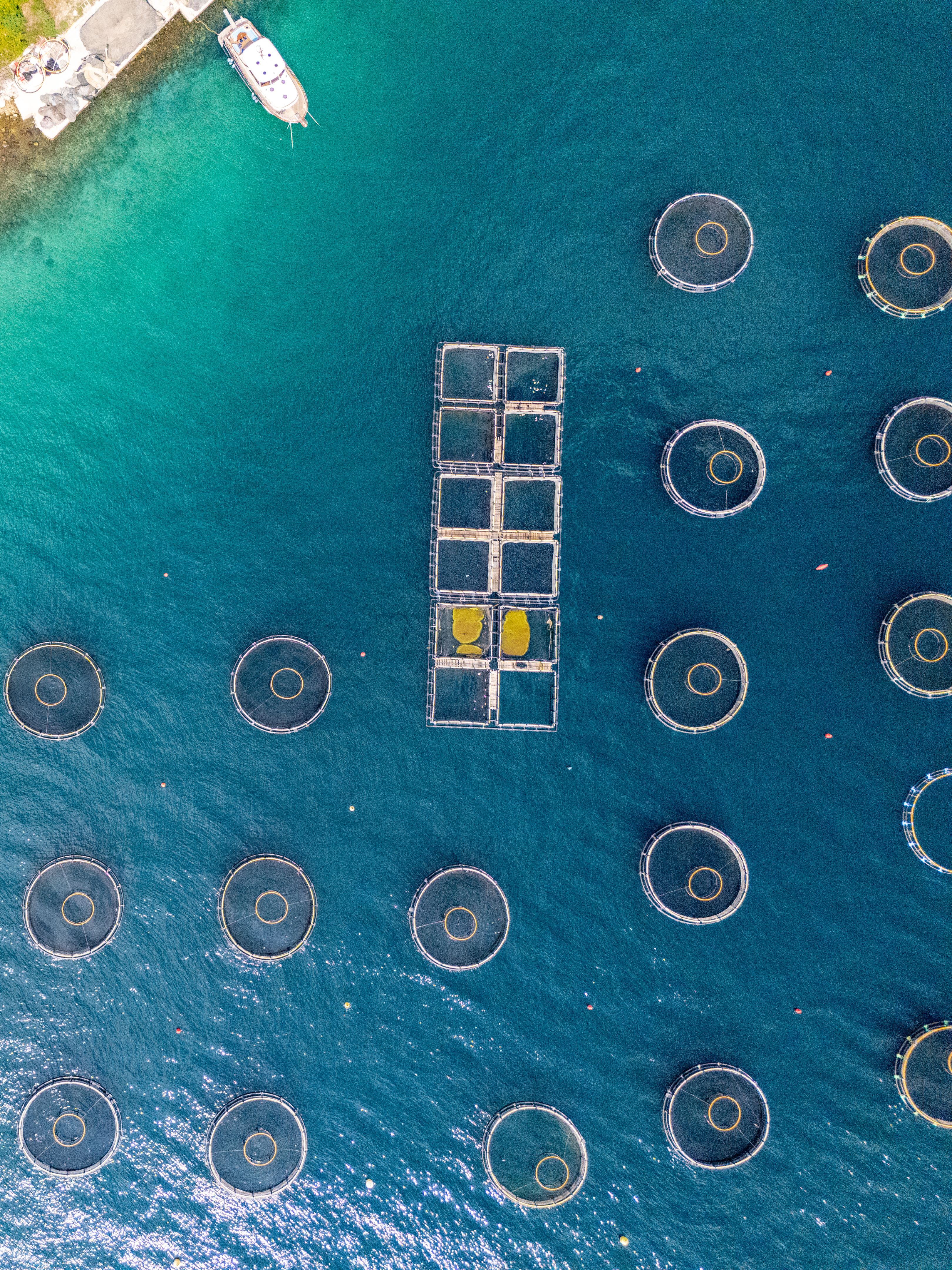 fishing conservation