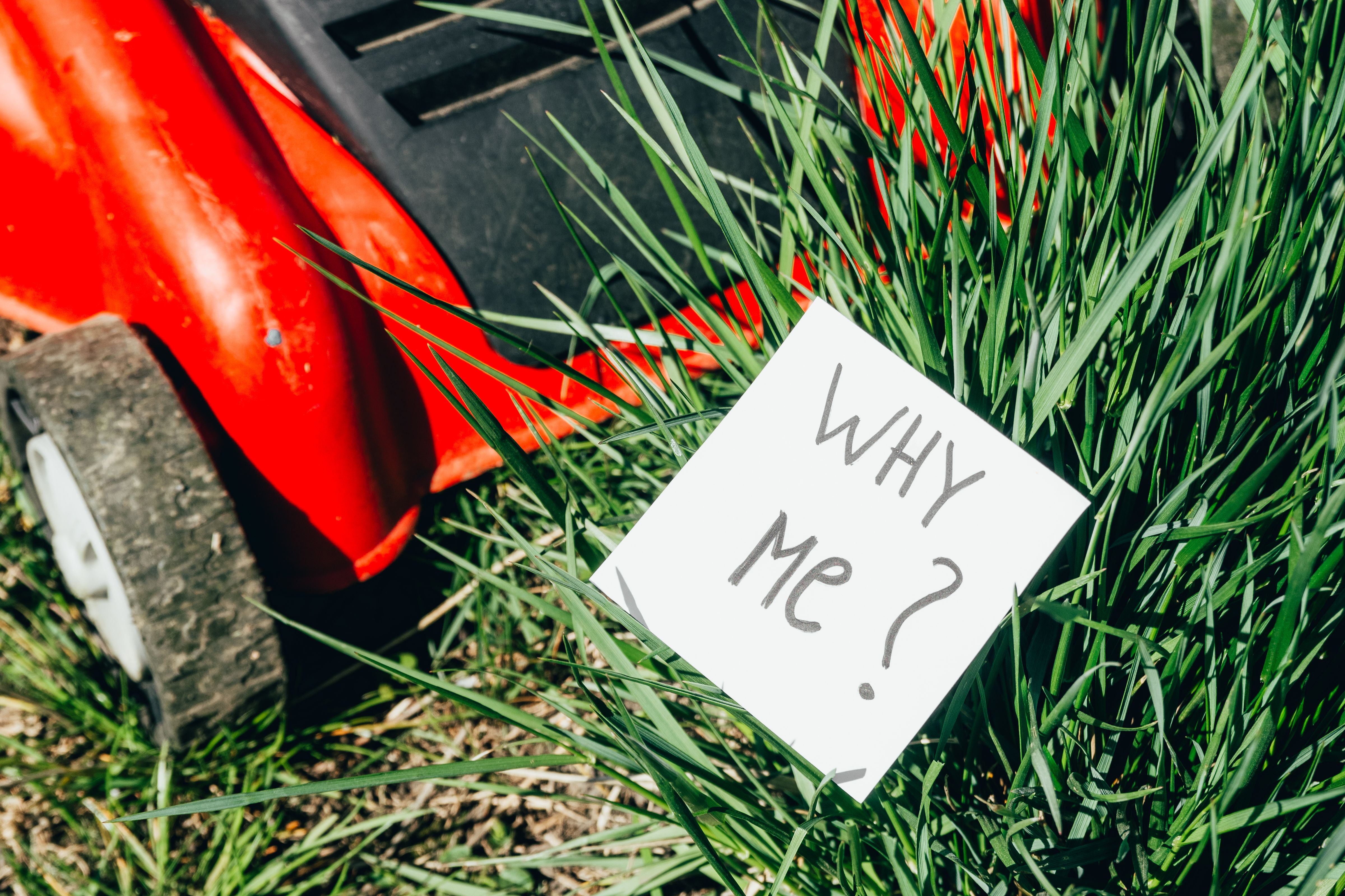 lawn care myths