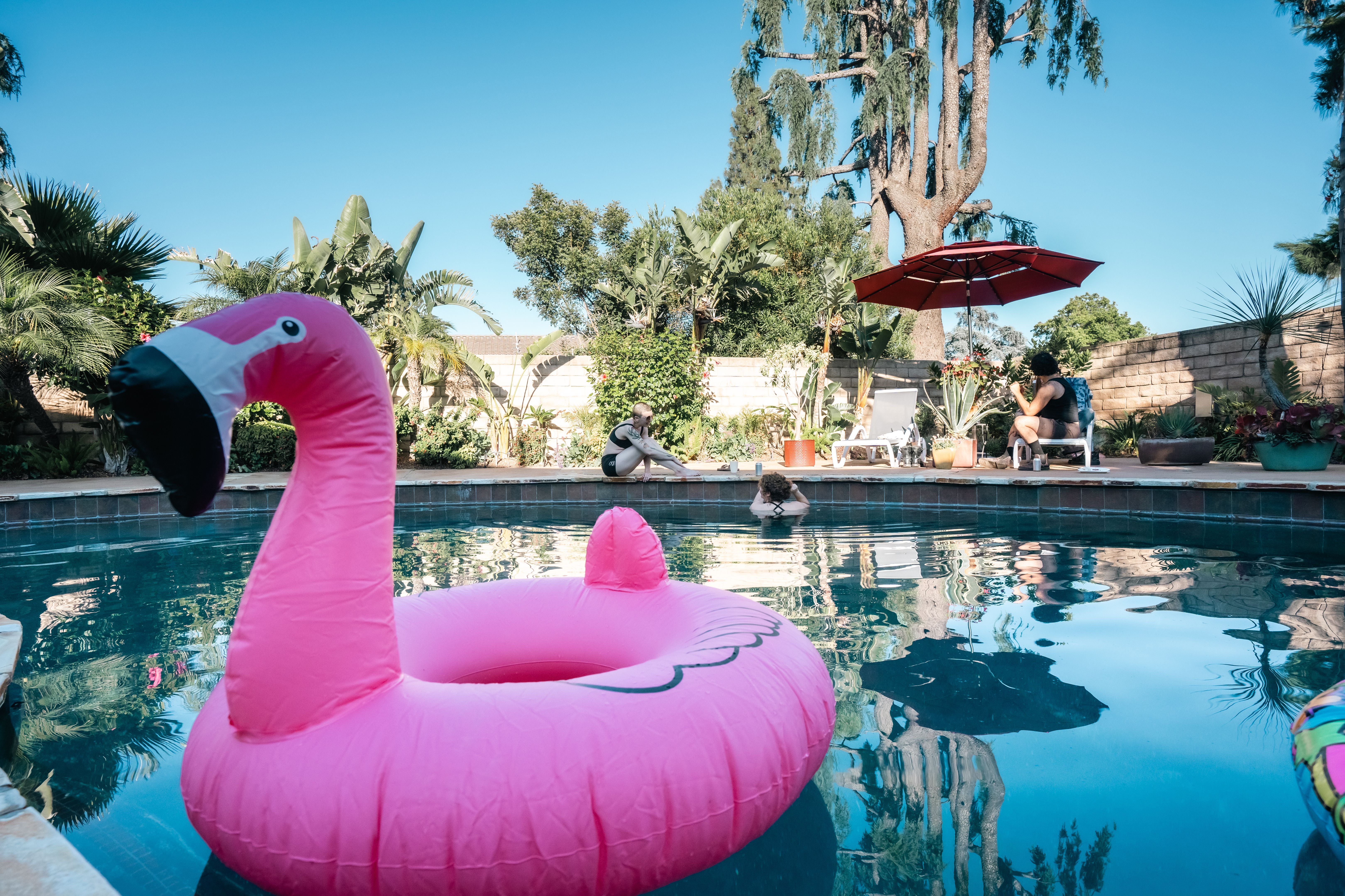 california pool summer