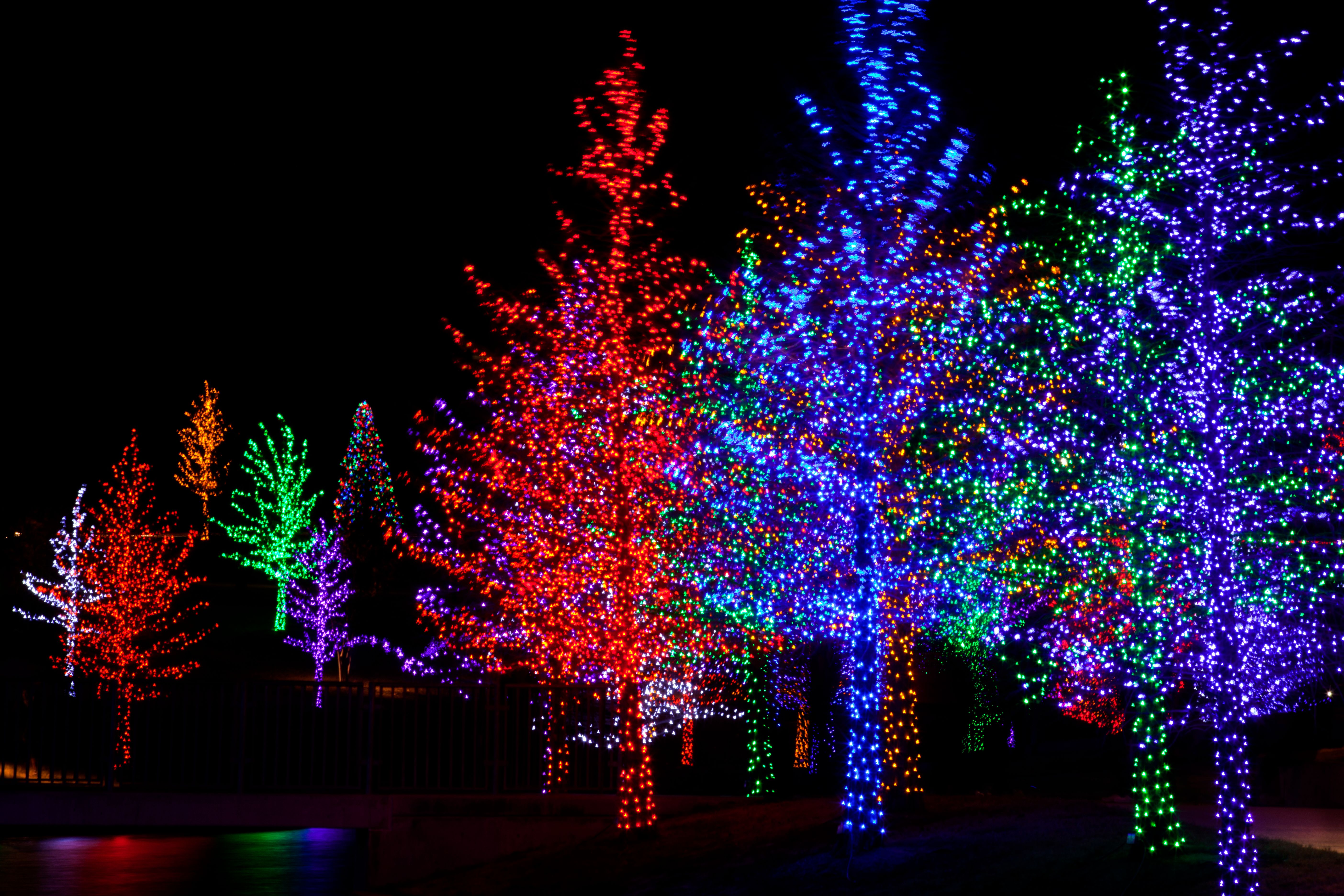 holiday lights business