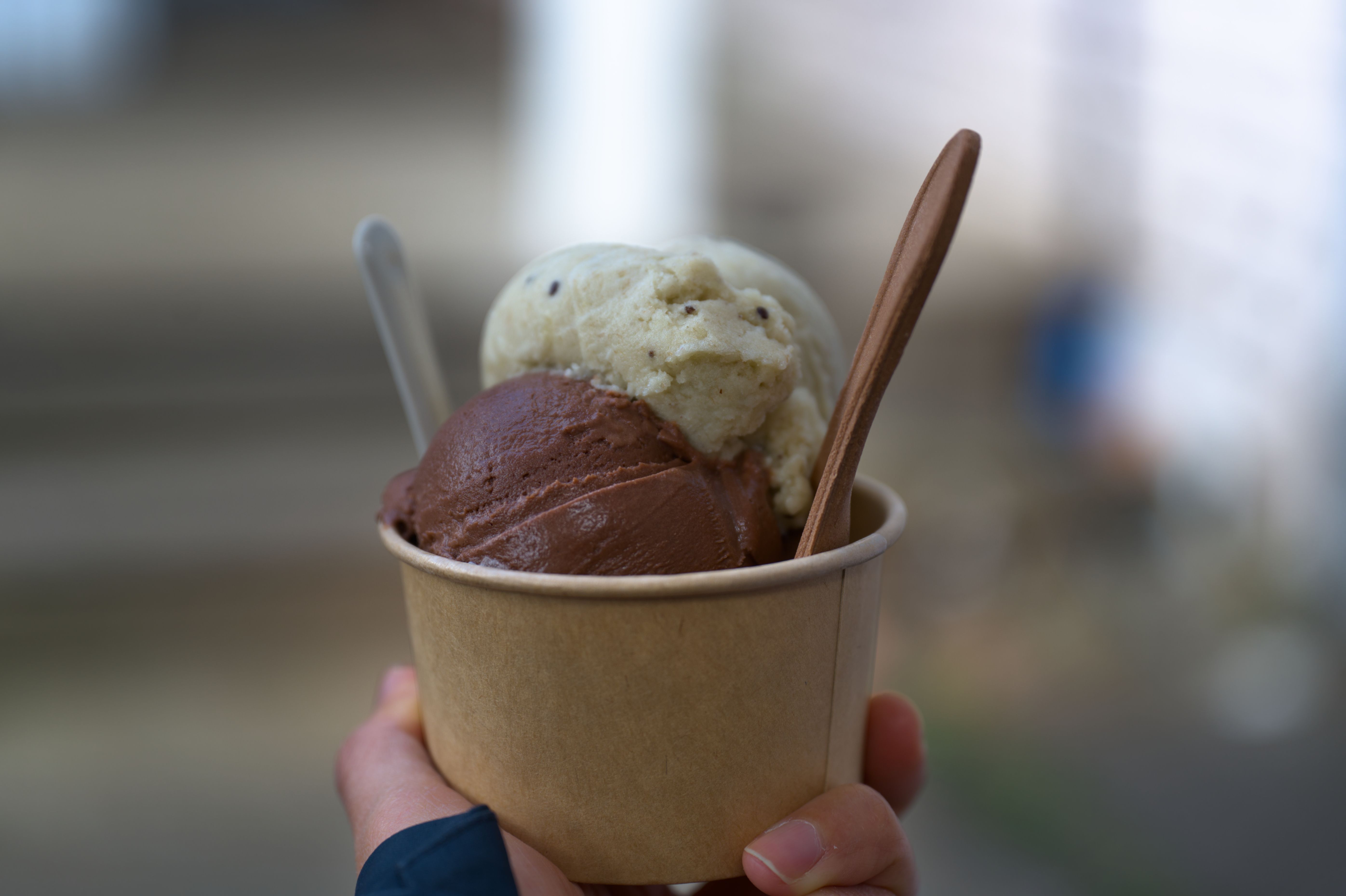 vegan ice cream