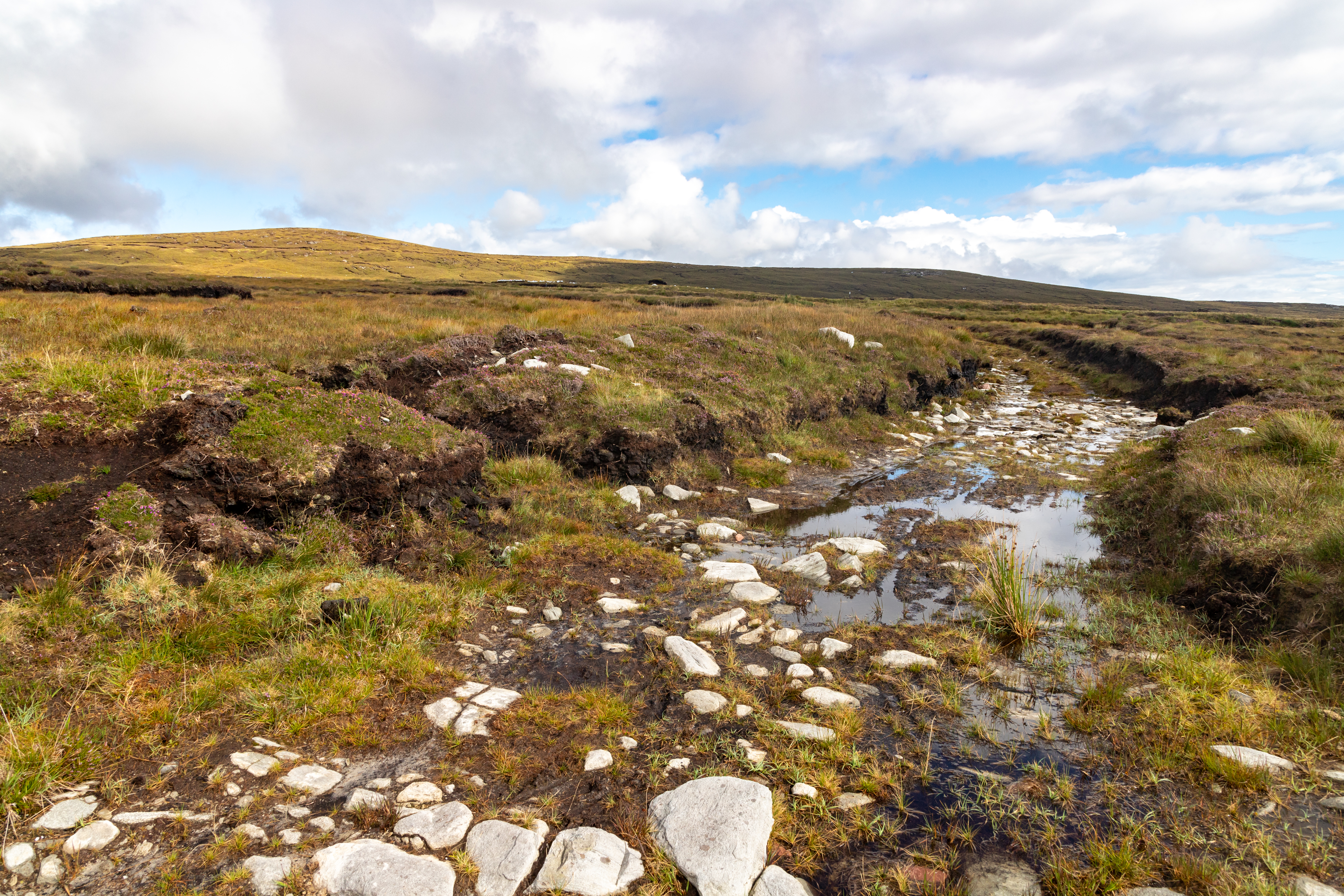 Wet Irish farm road in a bog