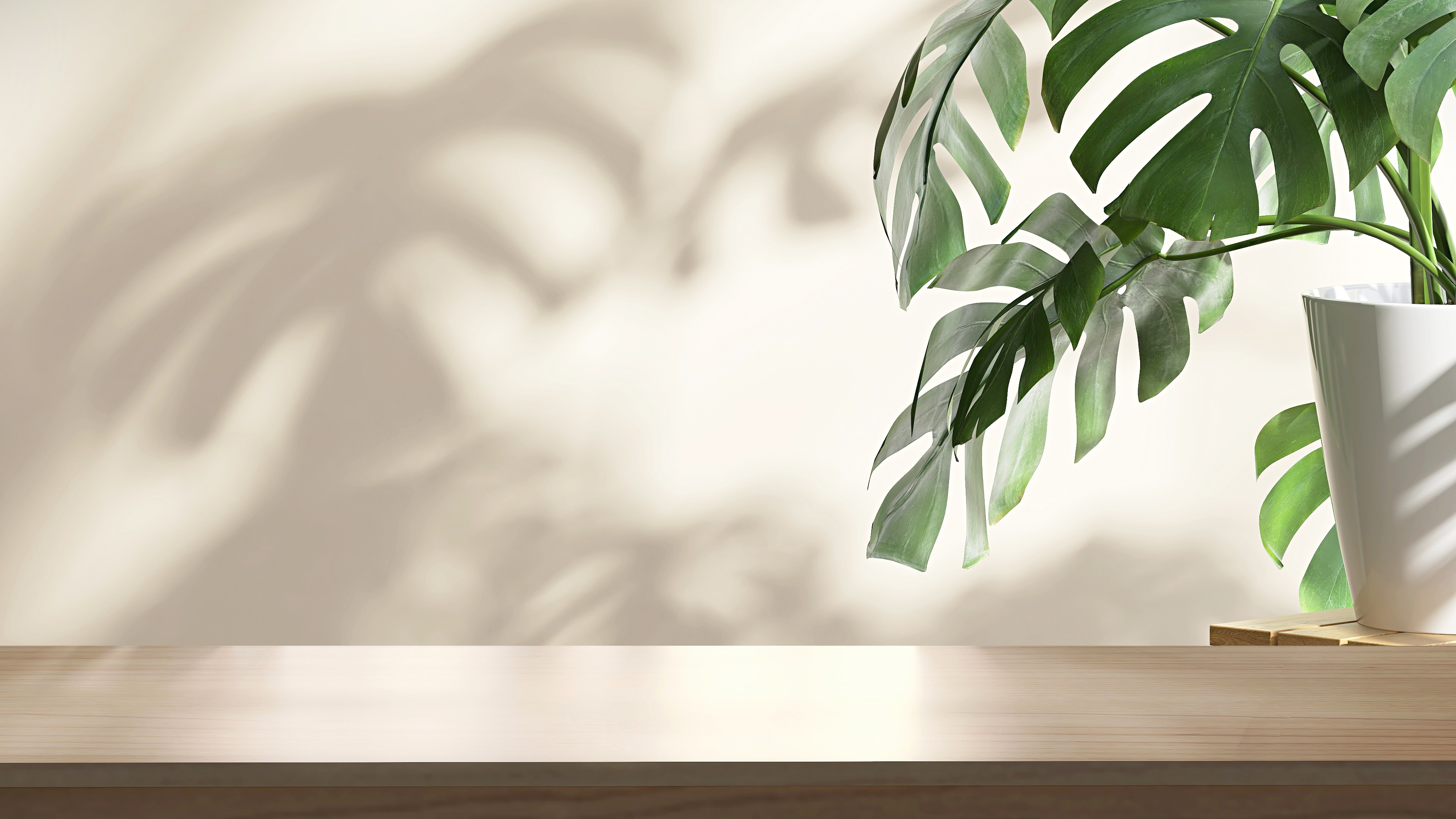Wooden tabletop or countertop in modern and minimal beige cream wall room with dappled sunlight from window and tropical monstera plant at home