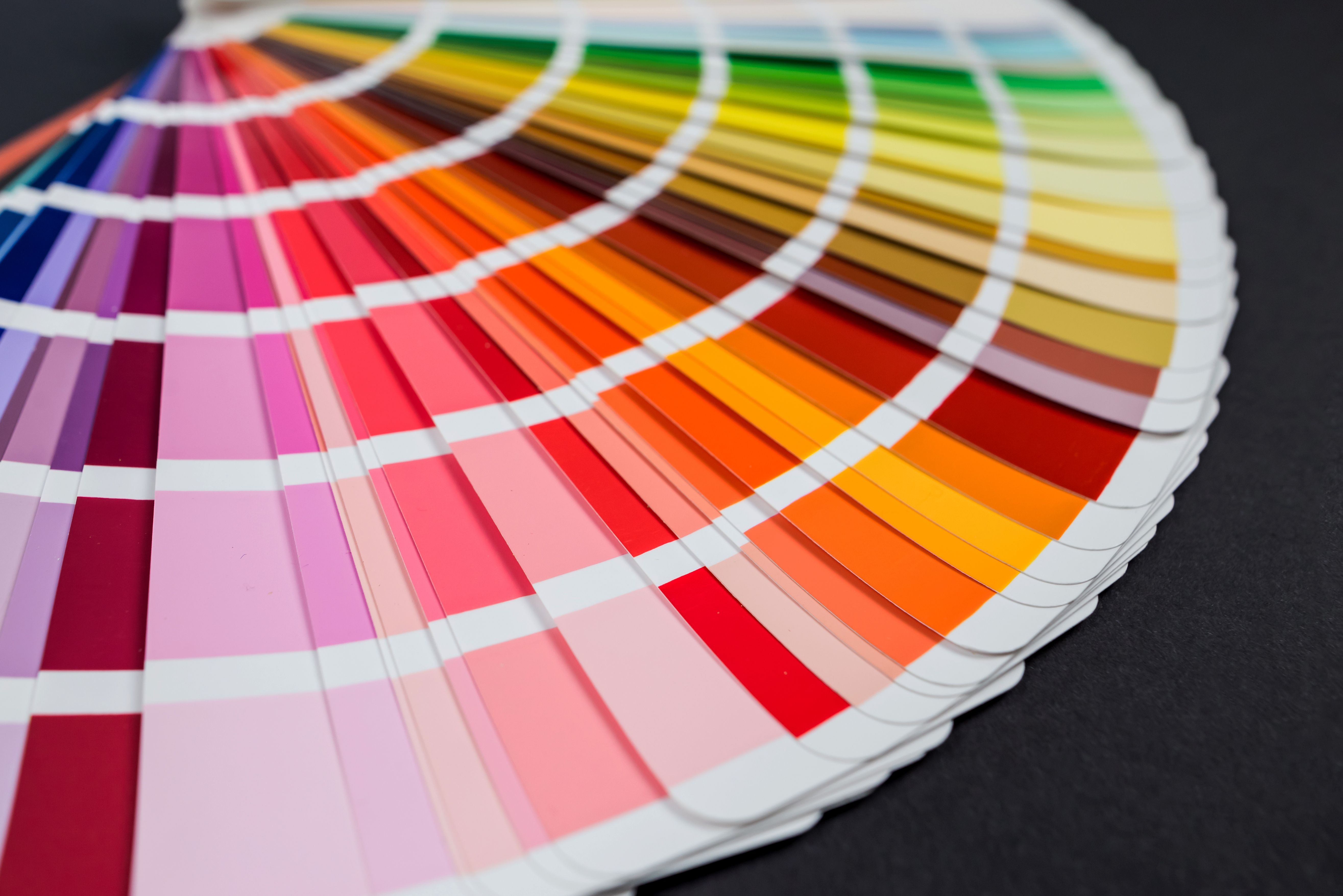color palette