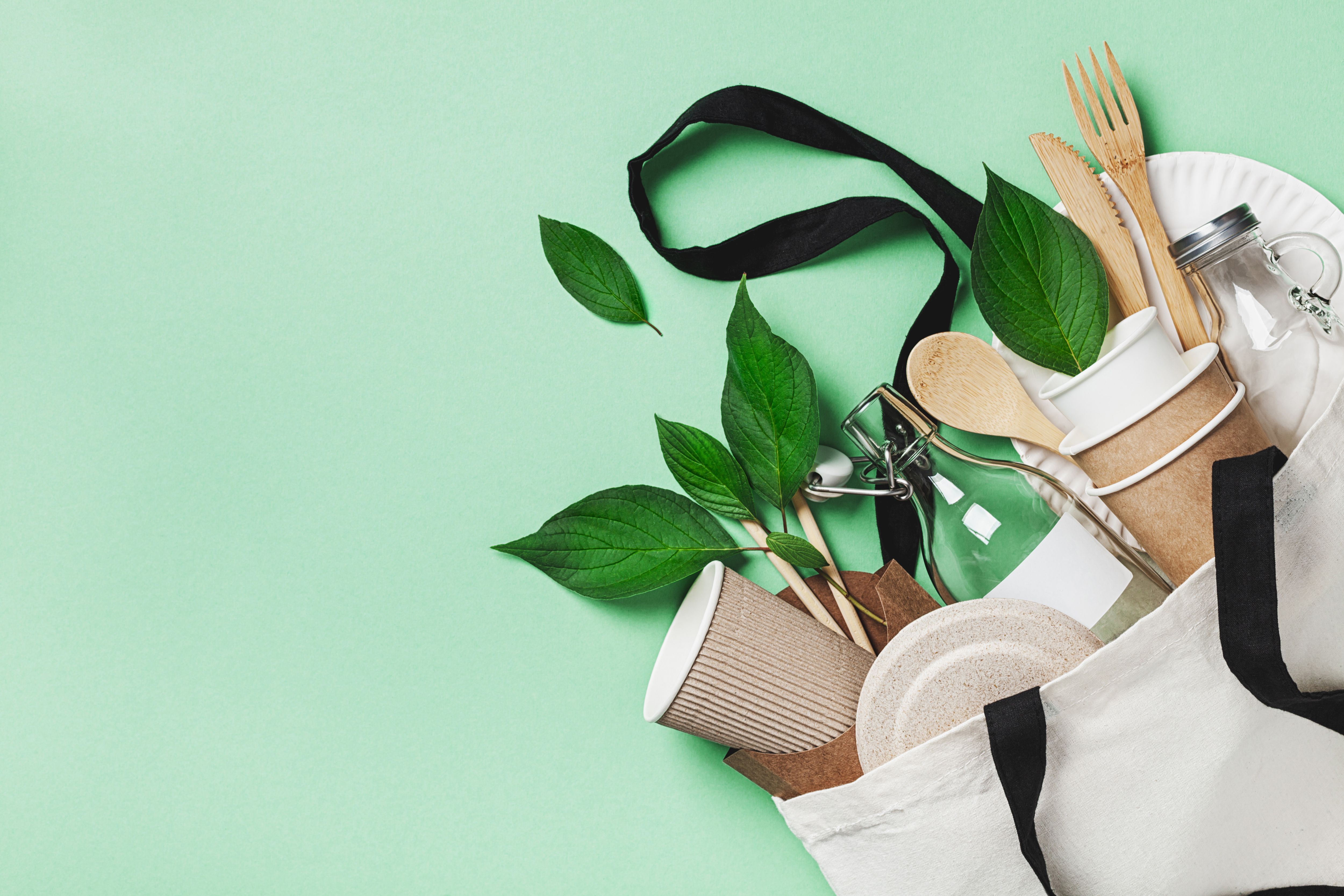 eco friendly products