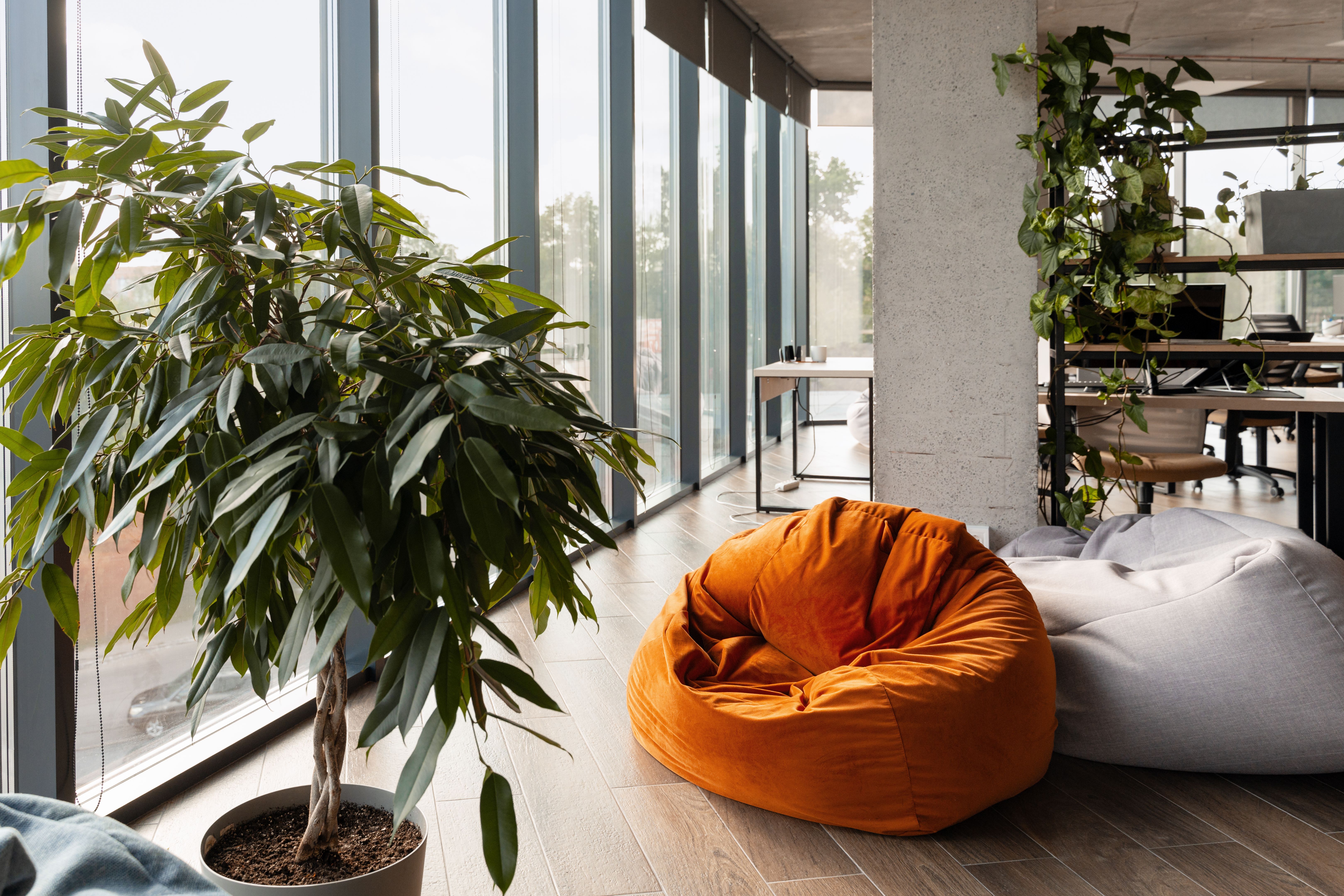 sustainable interior design