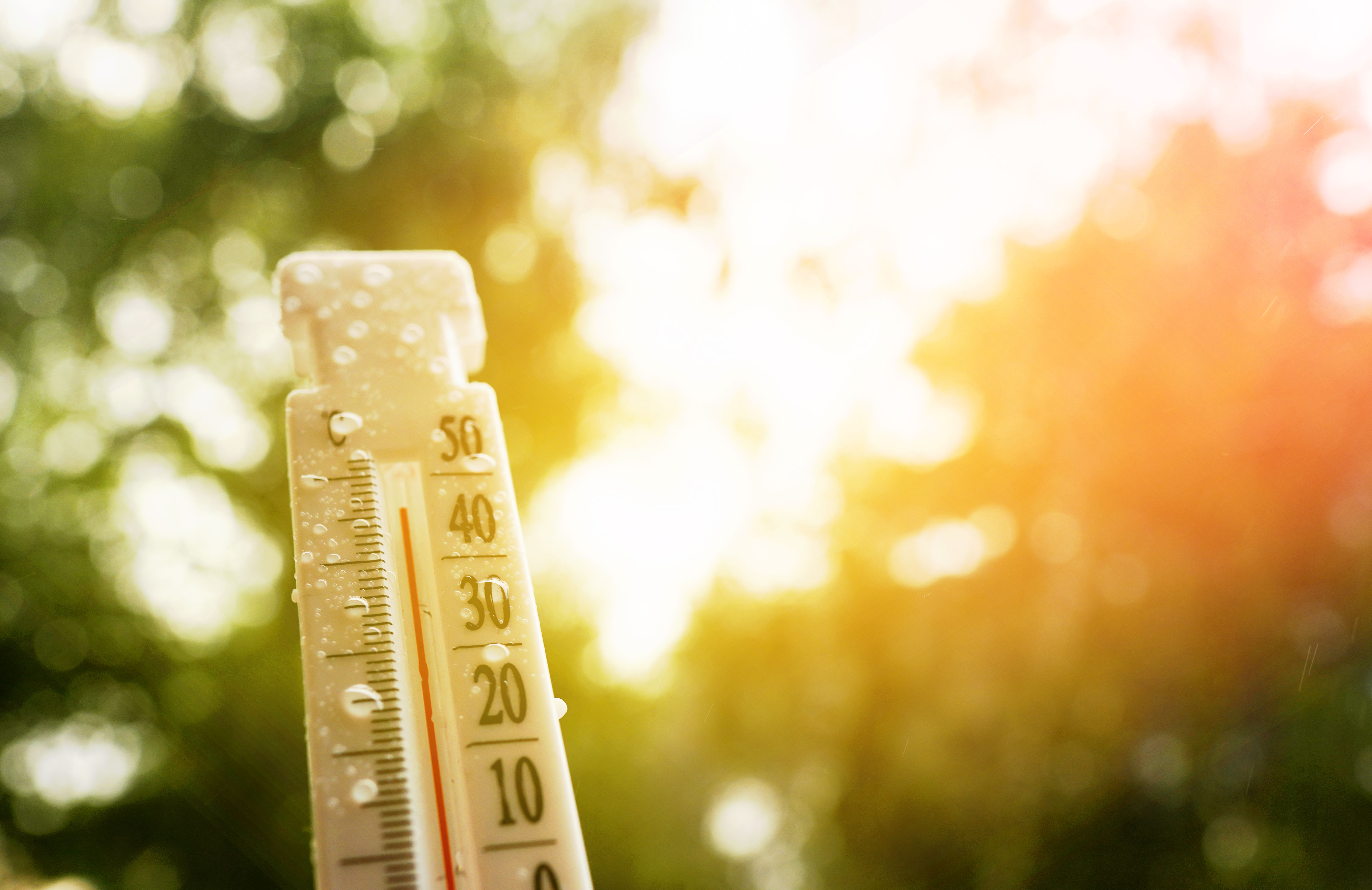 extreme heat