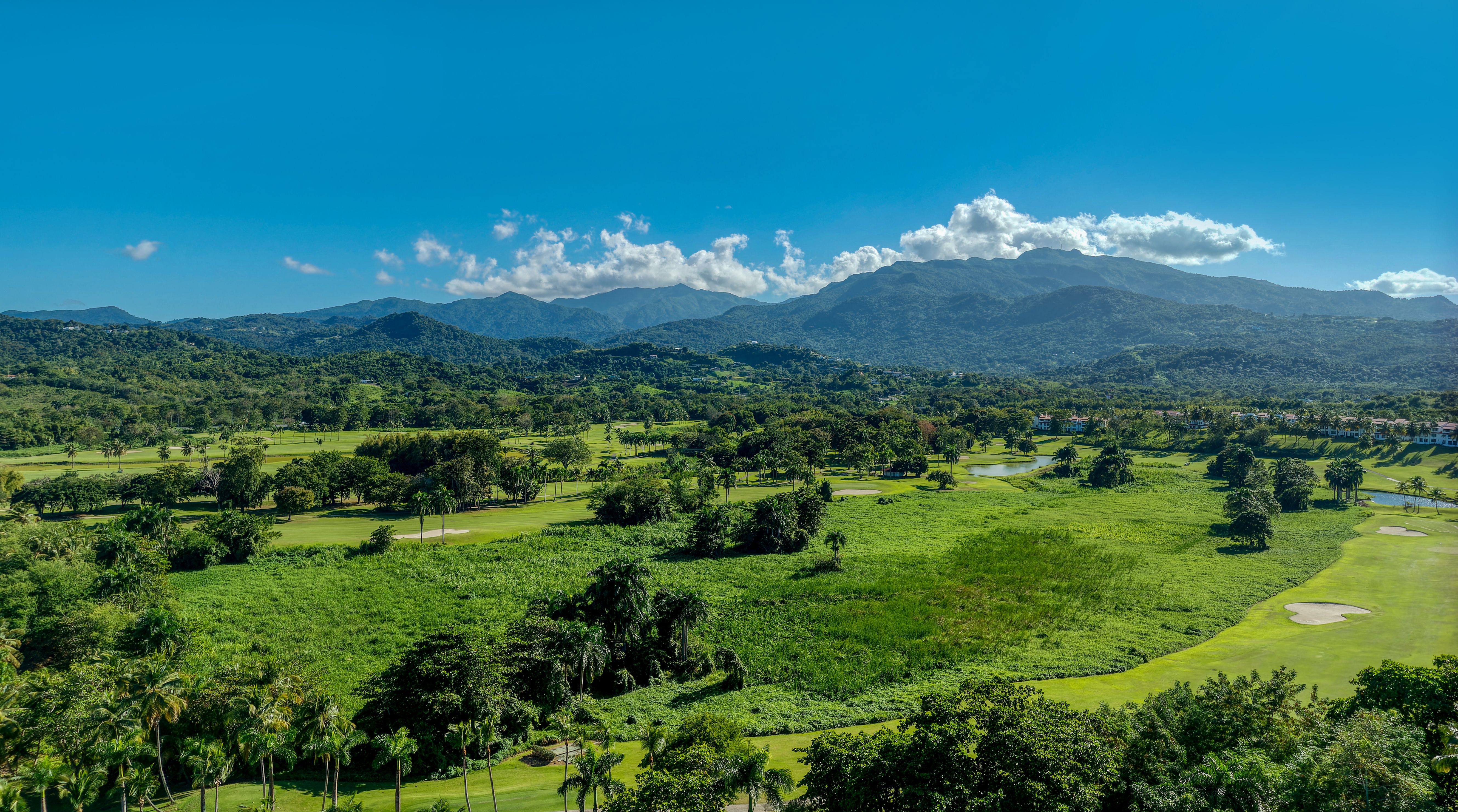 puerto rico landscape