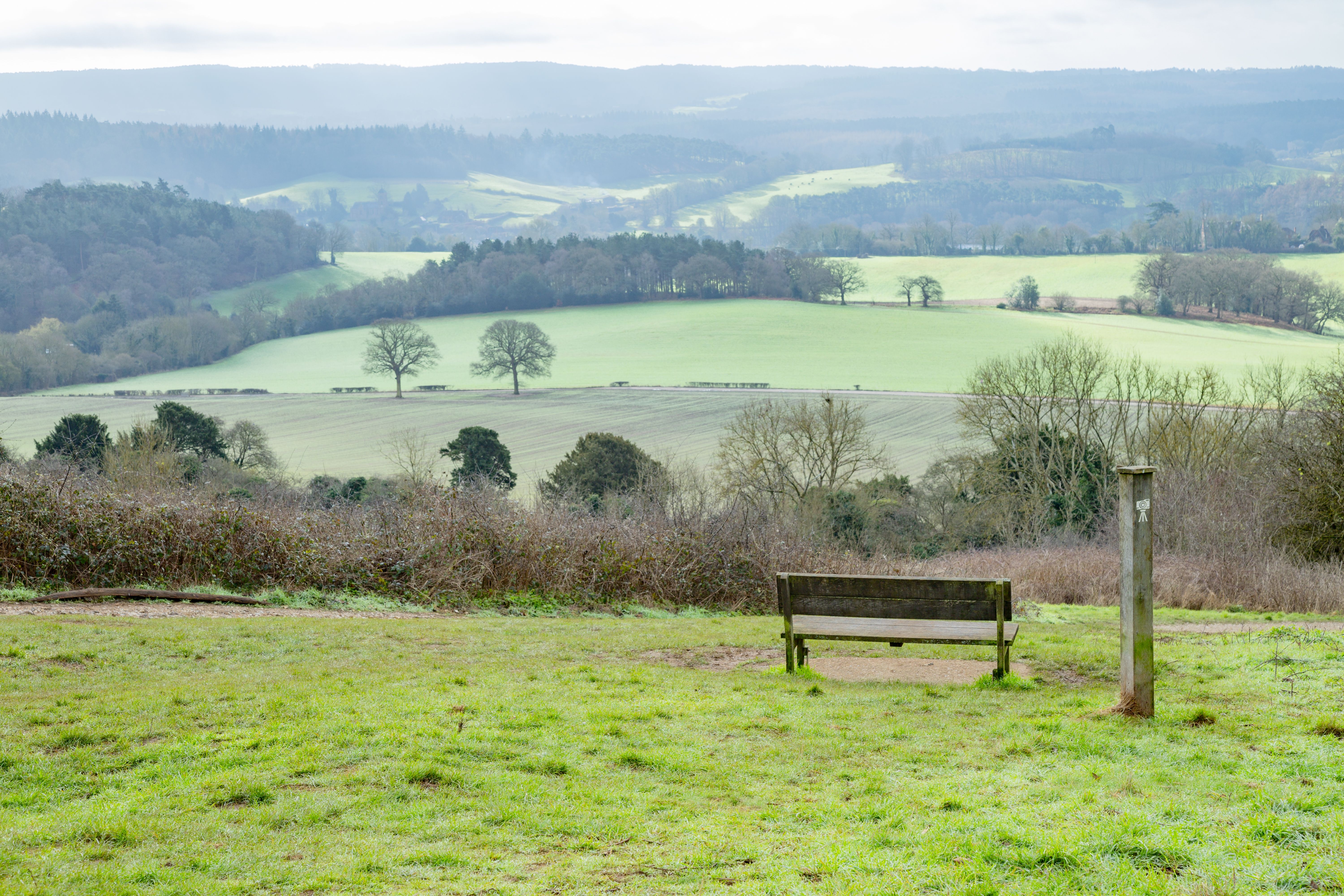 surrey outdoor activities