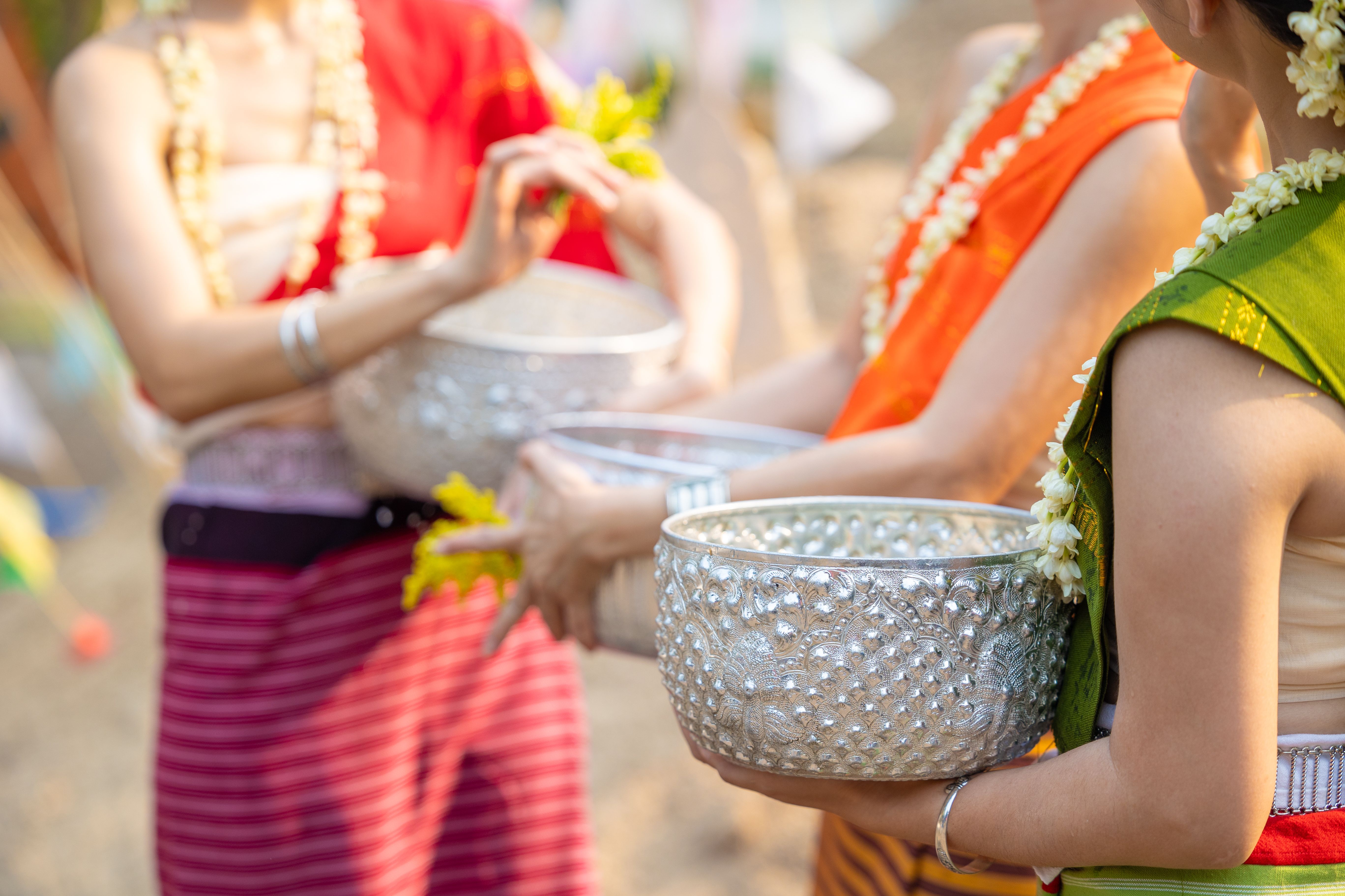 palmerston north festival