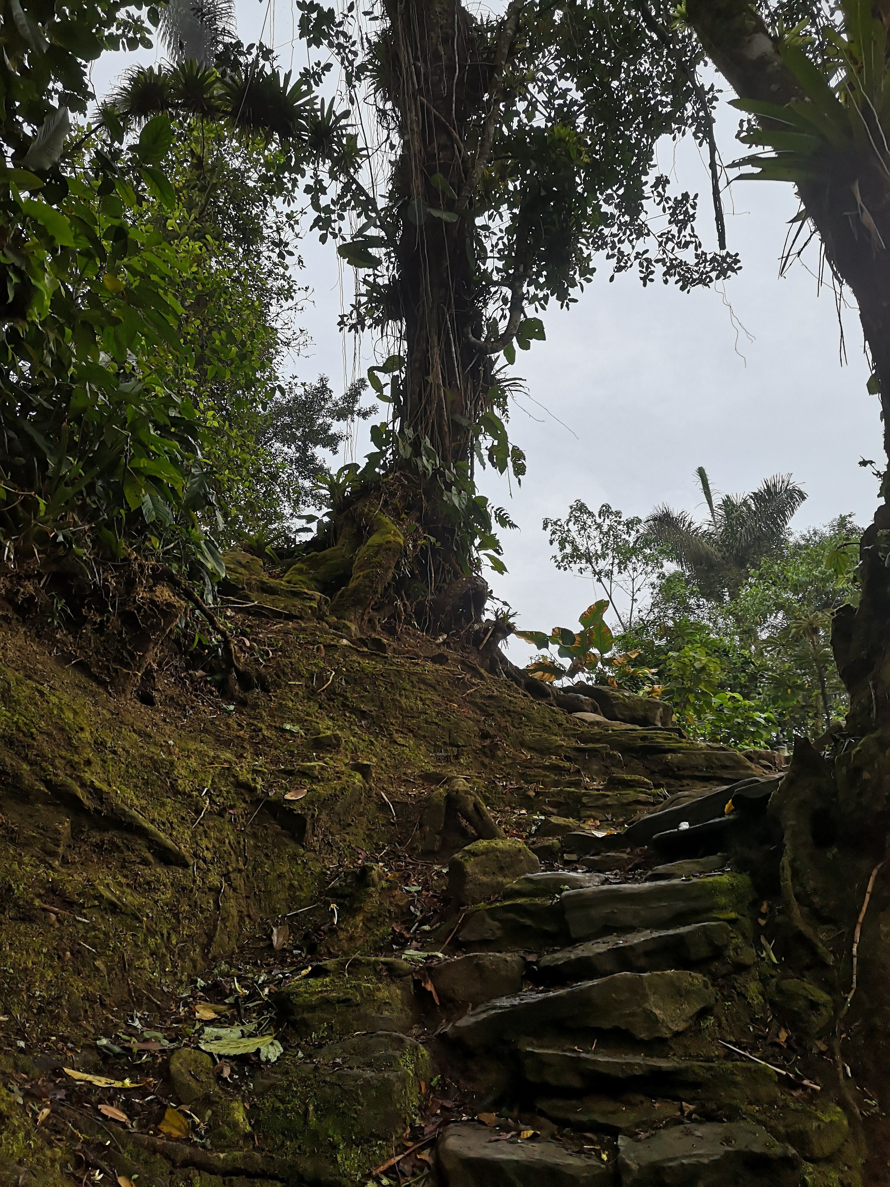 bienes raices colombia