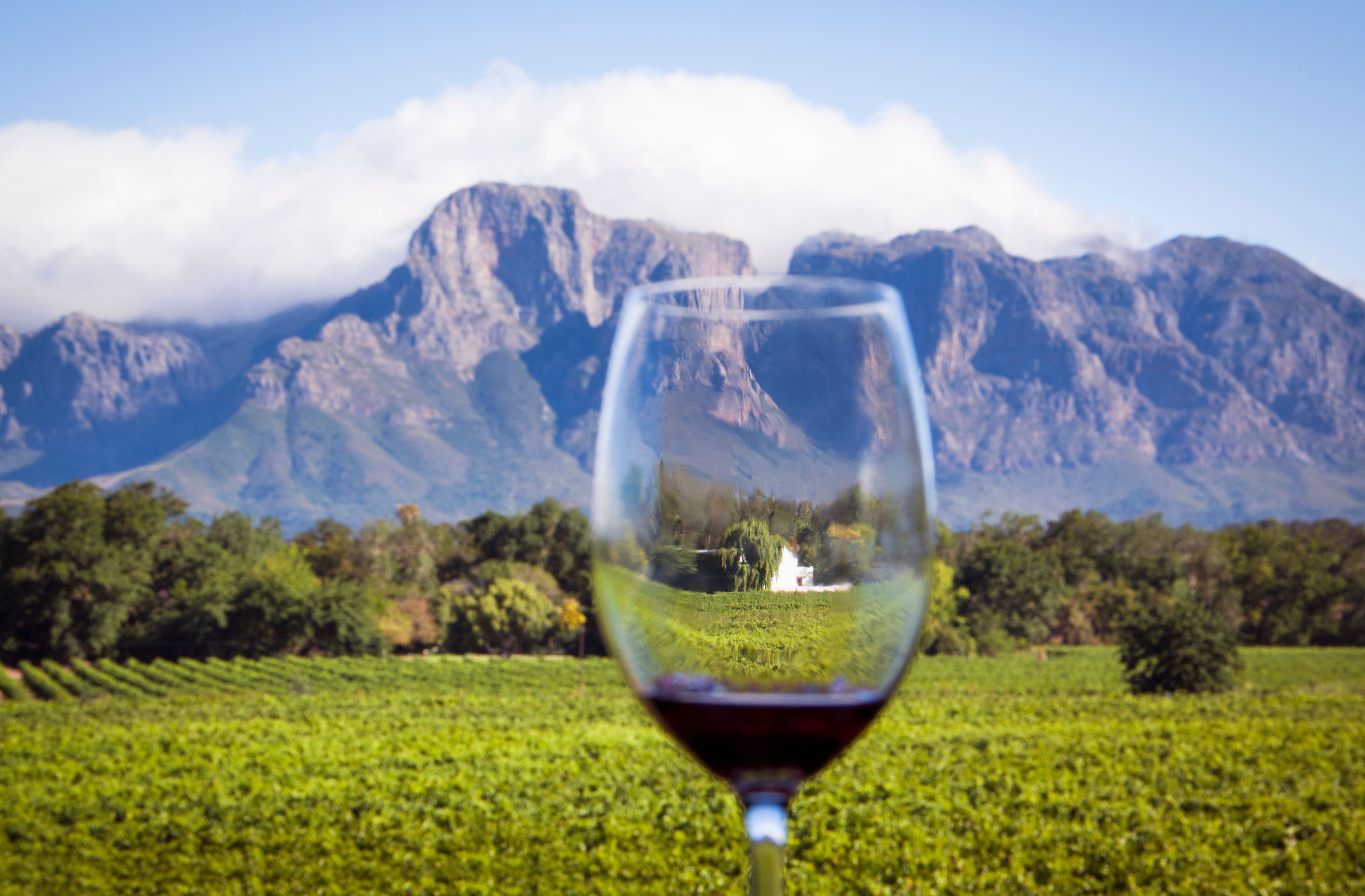 stellenbosch wine